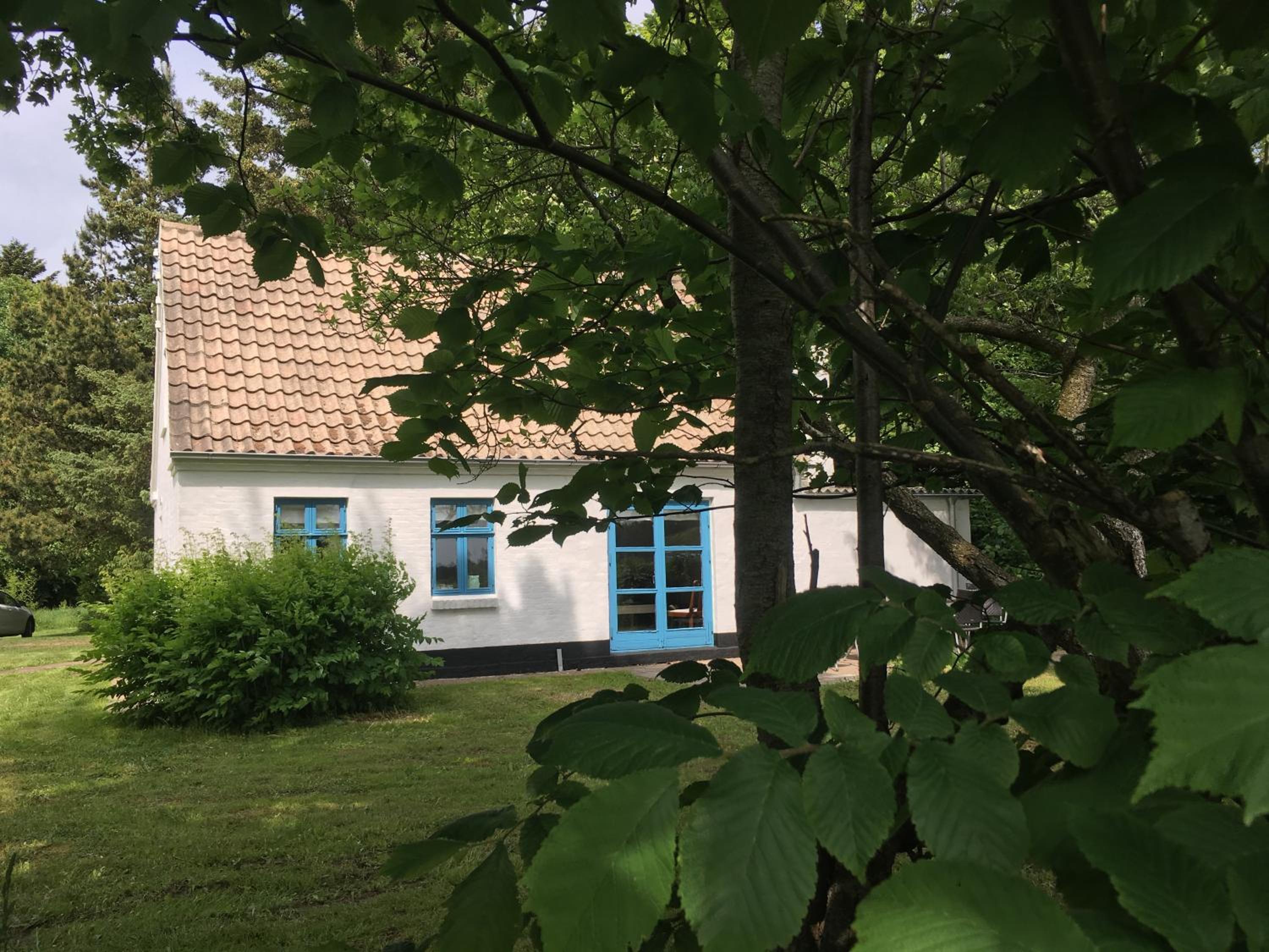 Photo 6