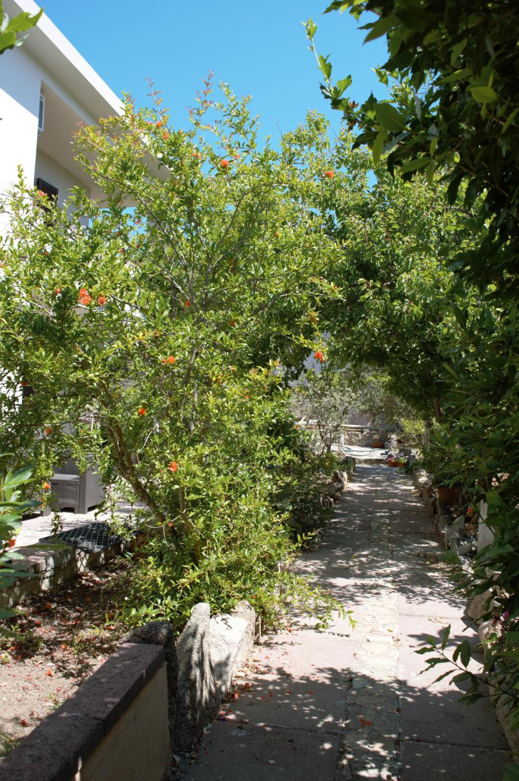 Photo 38