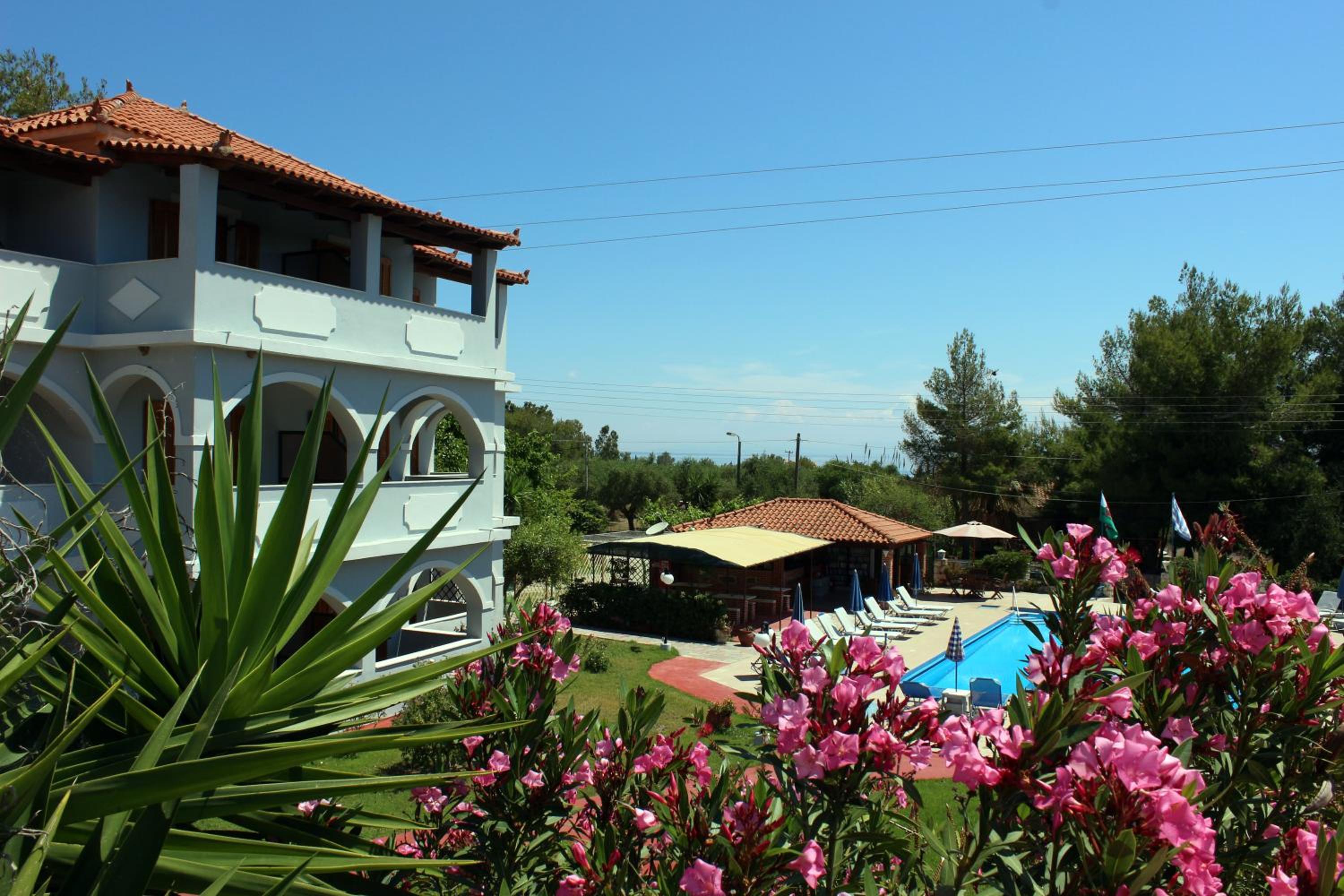 Zante Yliessa