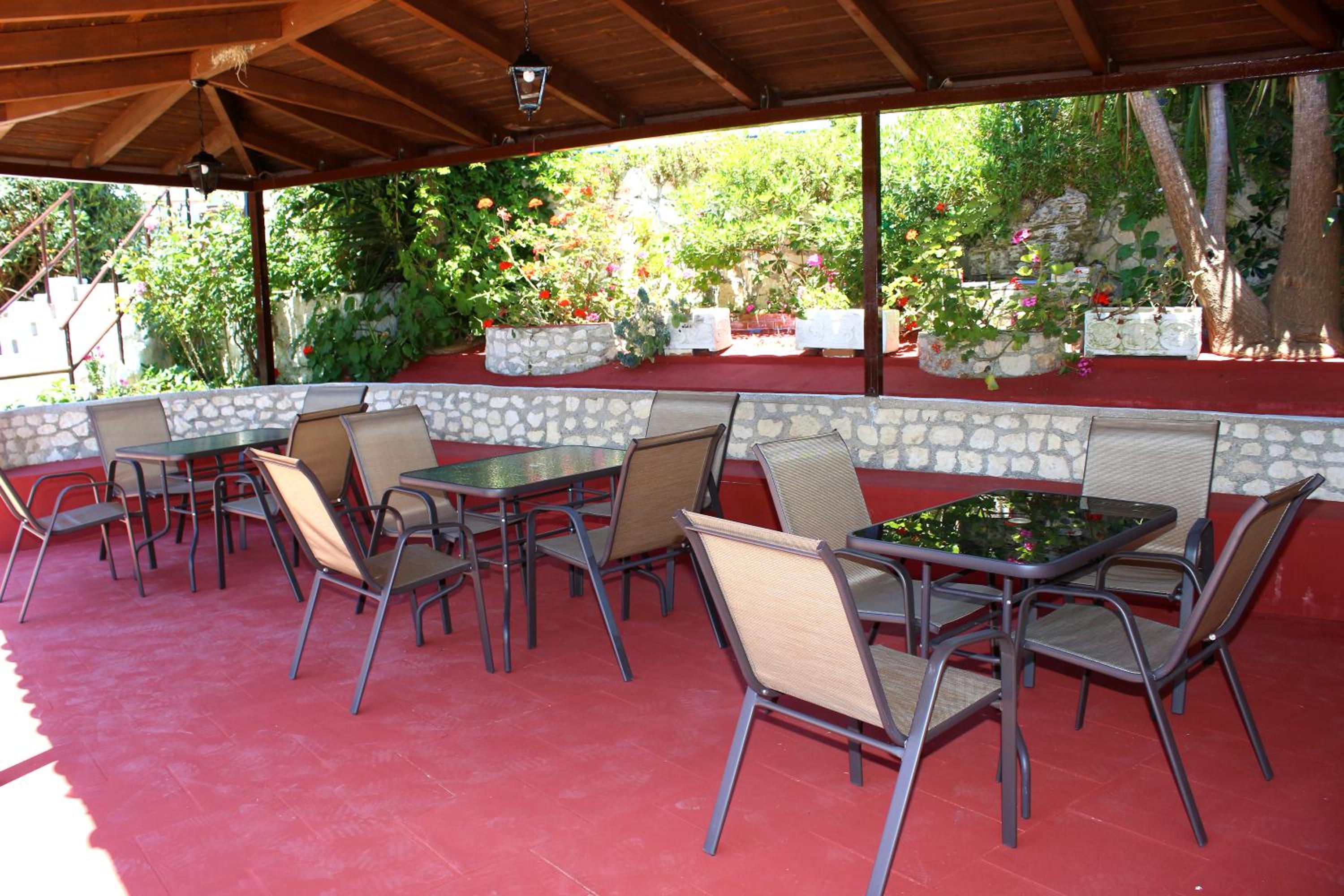 Zante Yliessa
