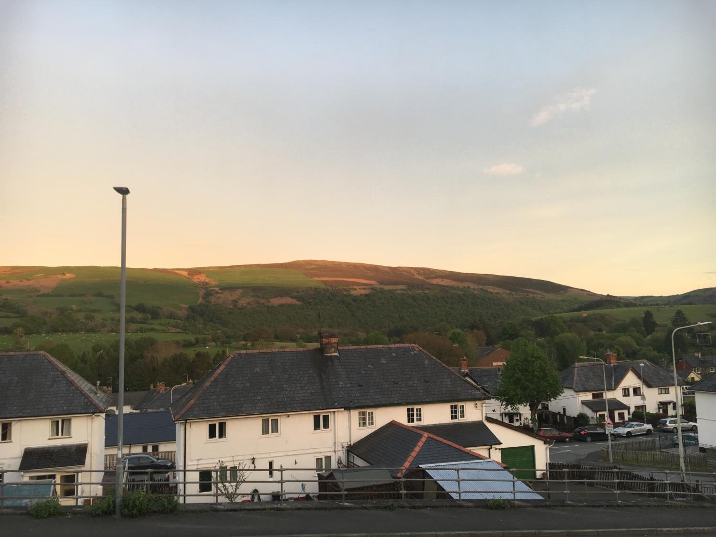 Bryn Derwen