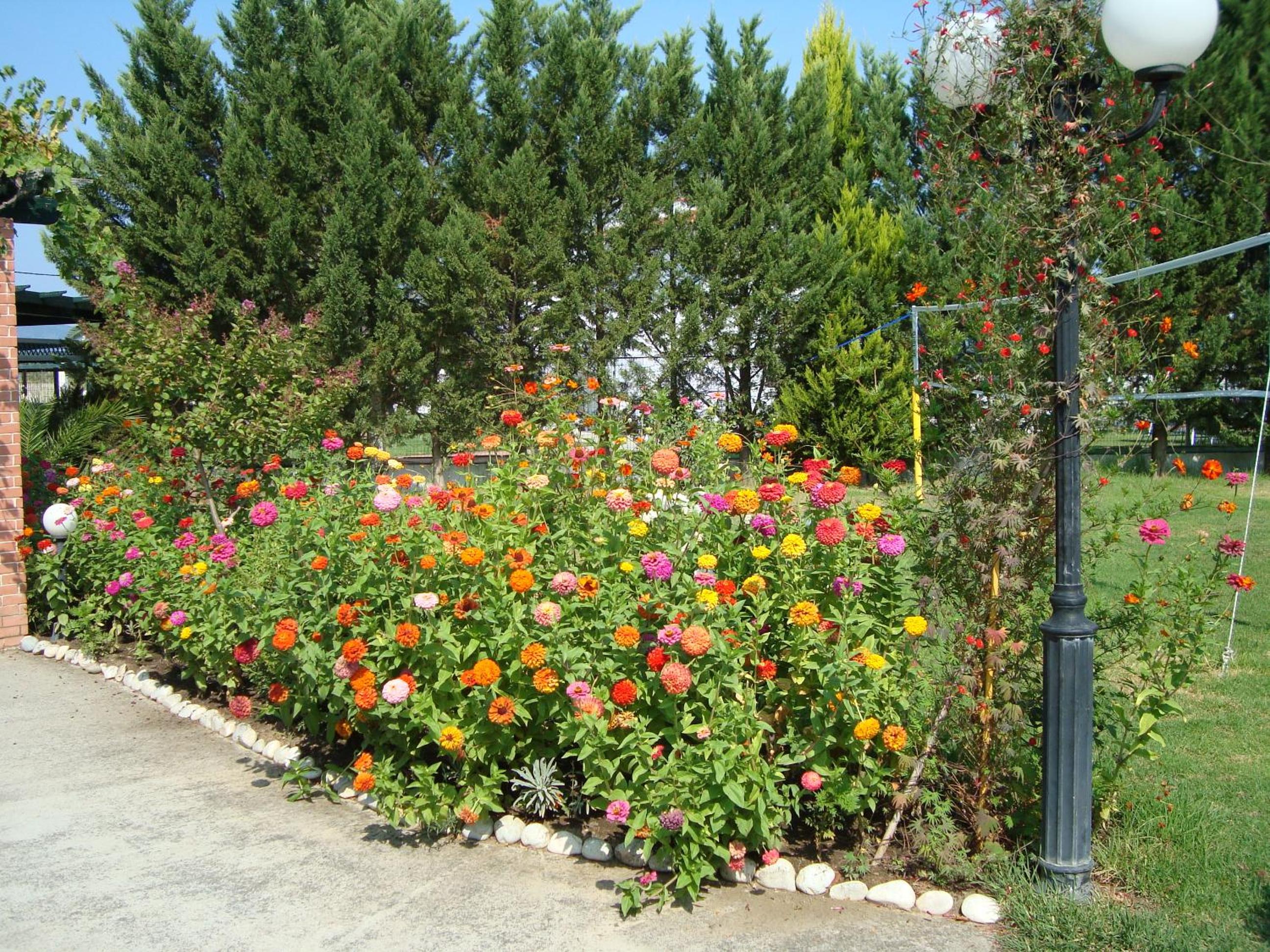 Photo 20