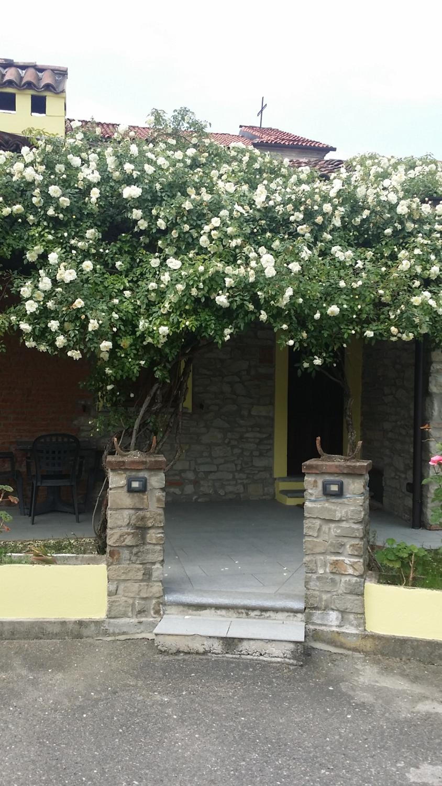 Photo 22