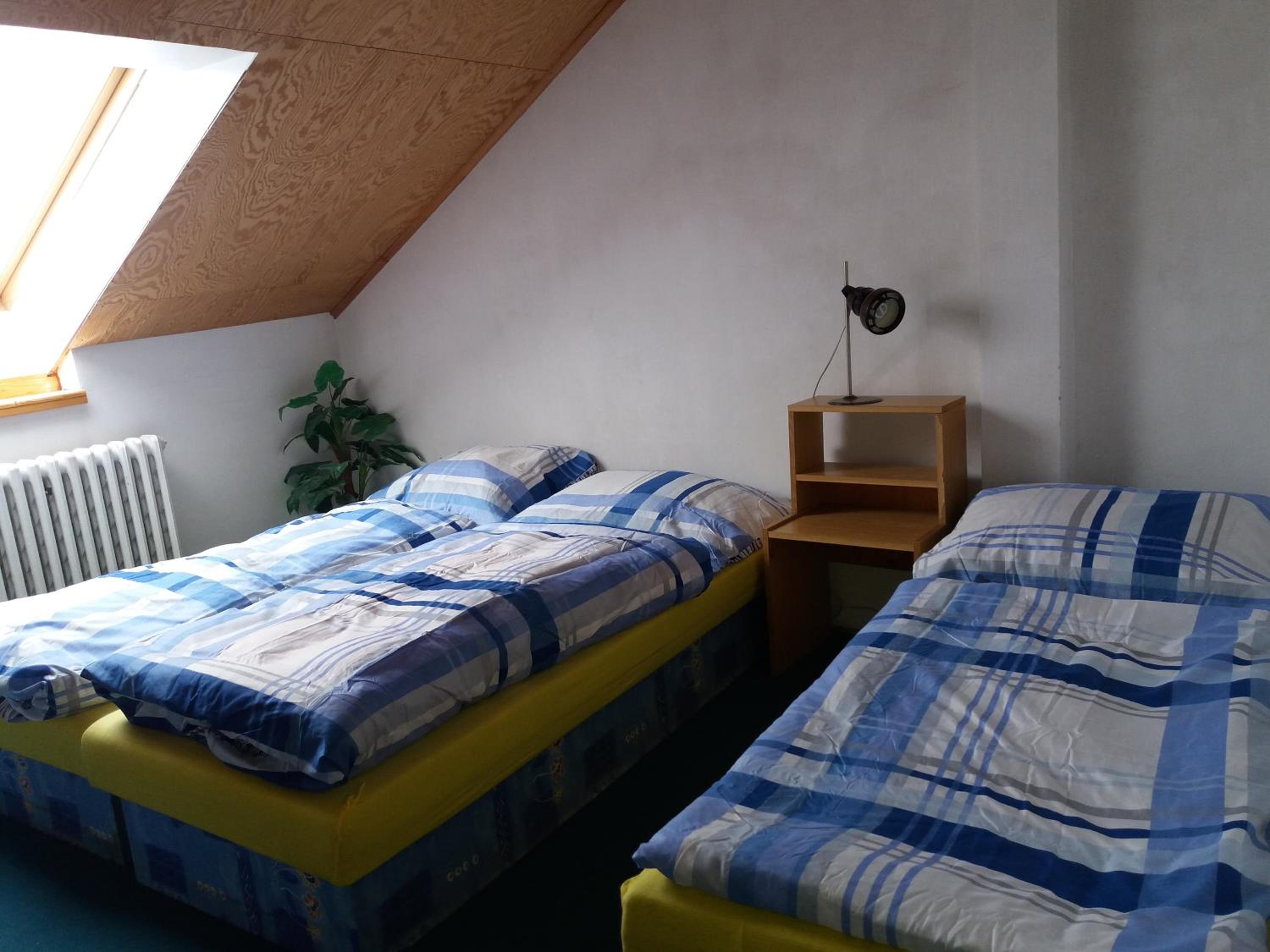 Lípa v ceste IYI sobota - sobota