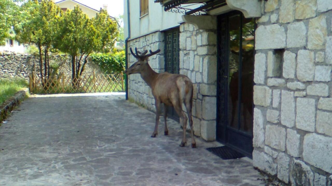 Appartamenti De Sanctis view 5