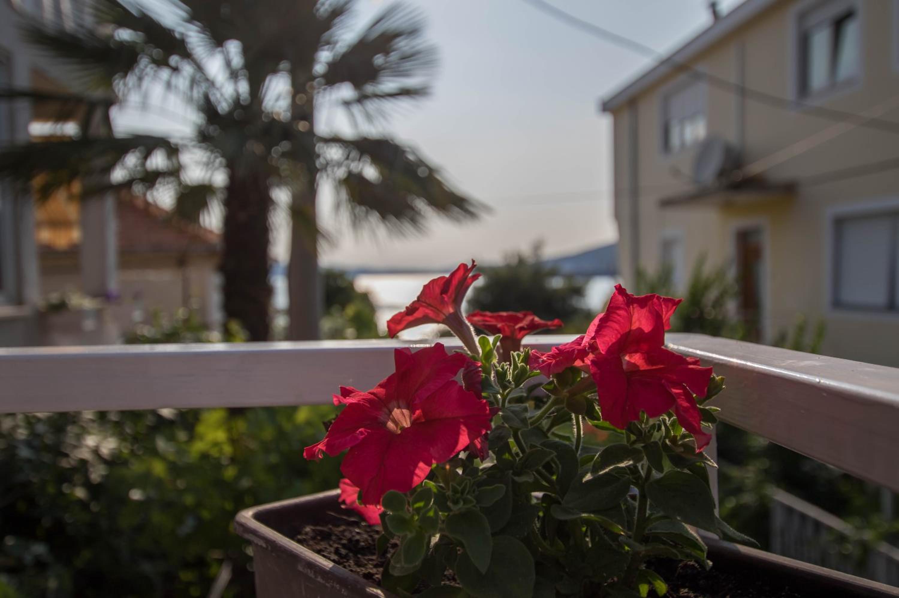 Apartment Cherie en Trogir — balance & terrace
