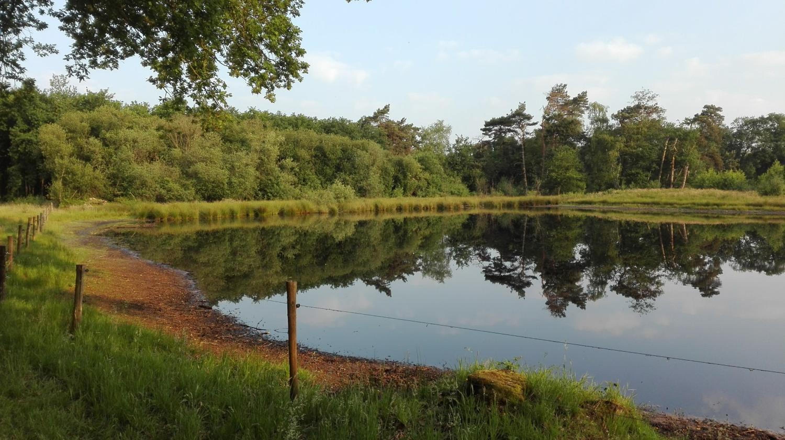 B&B De Grote Plaats