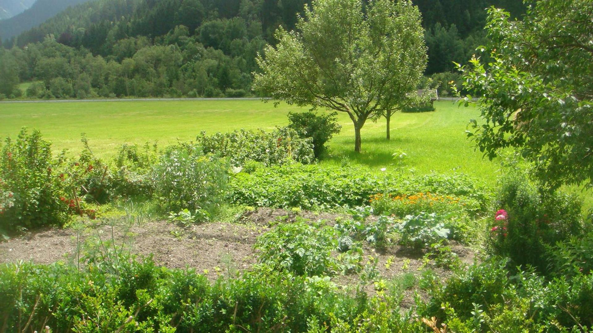 Bio-Bauernhof Obertrattenbachhof