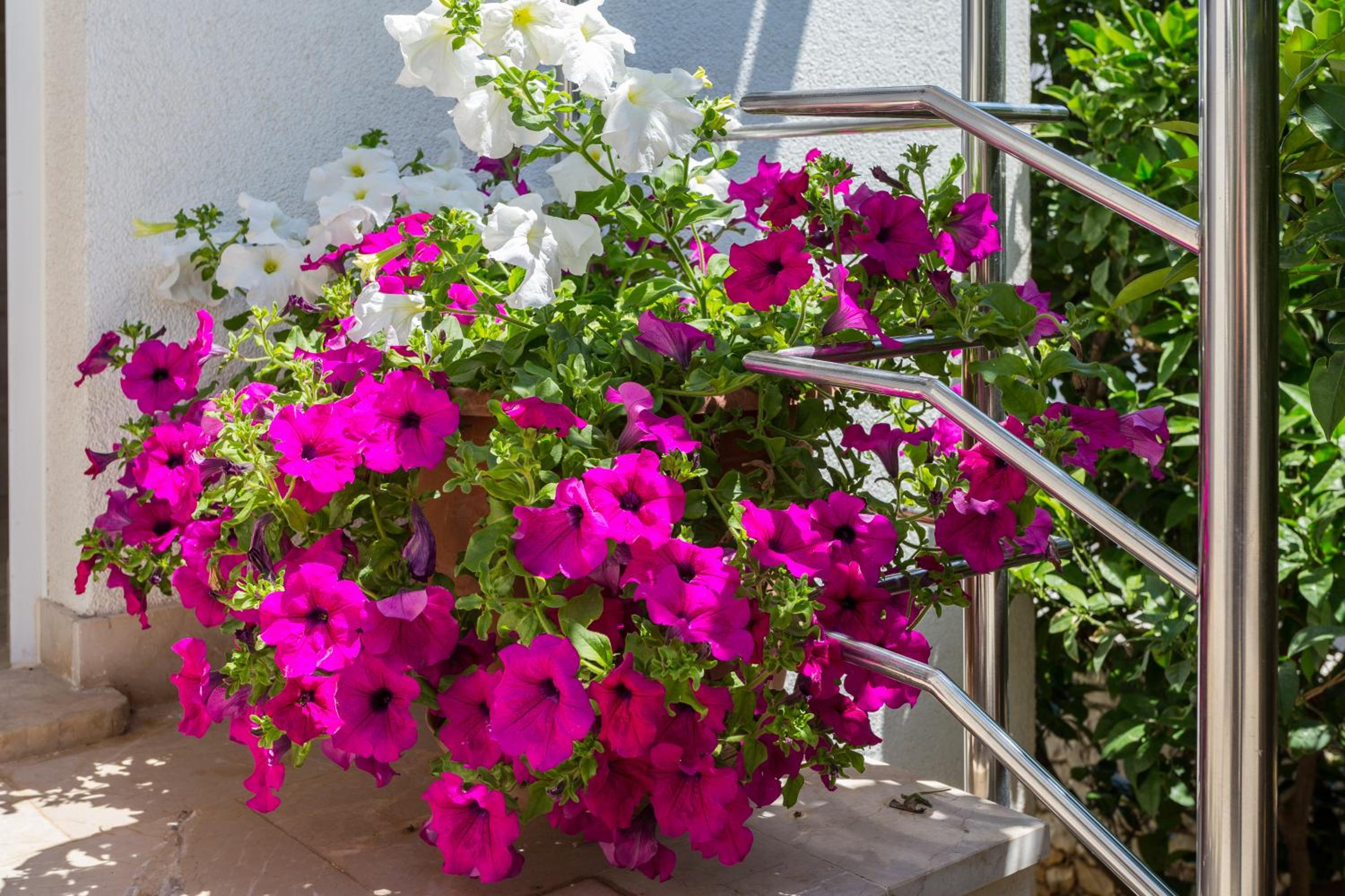 Apartments in Villa TOP TROGIR