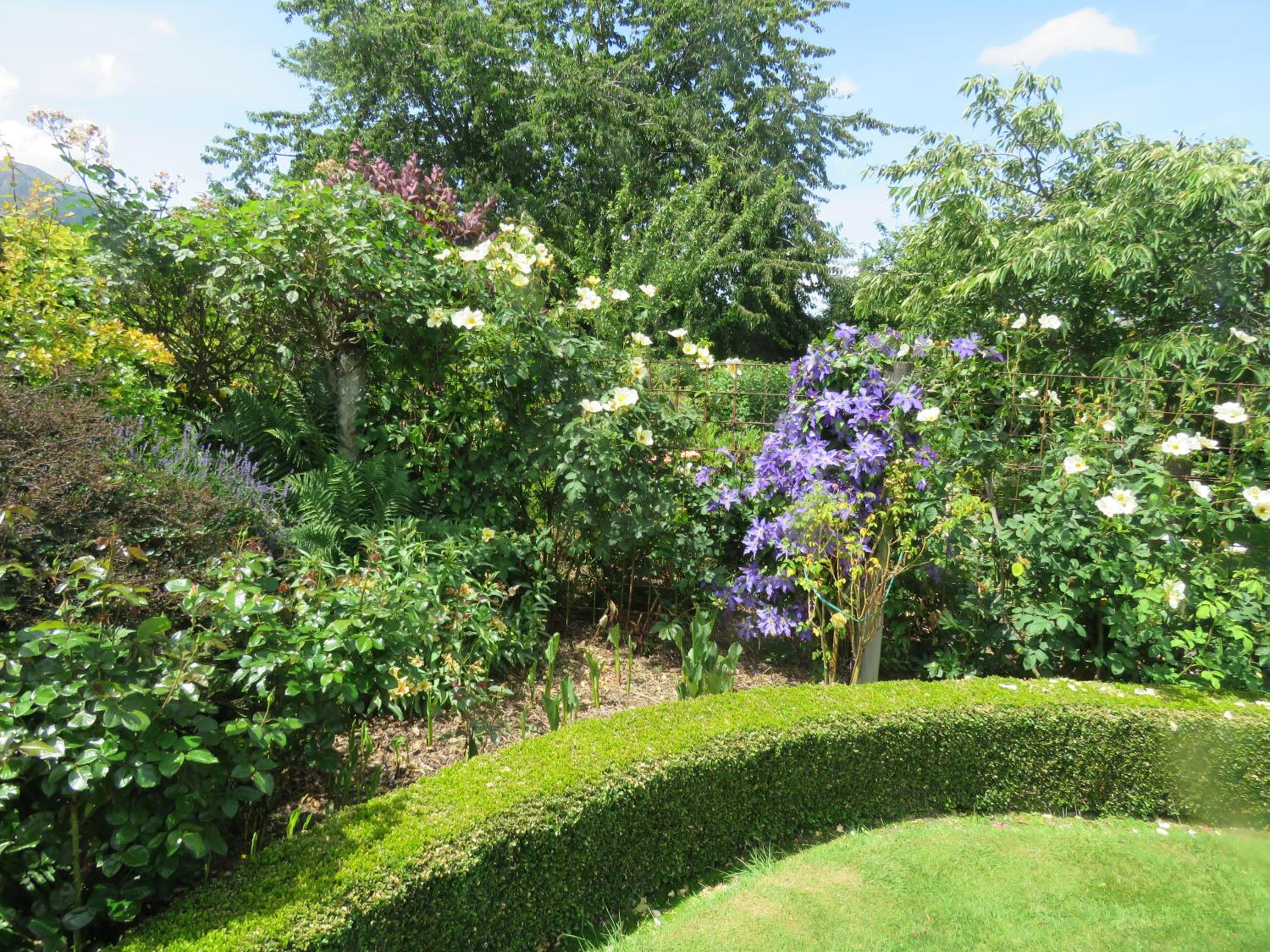 Marchmont Gardens