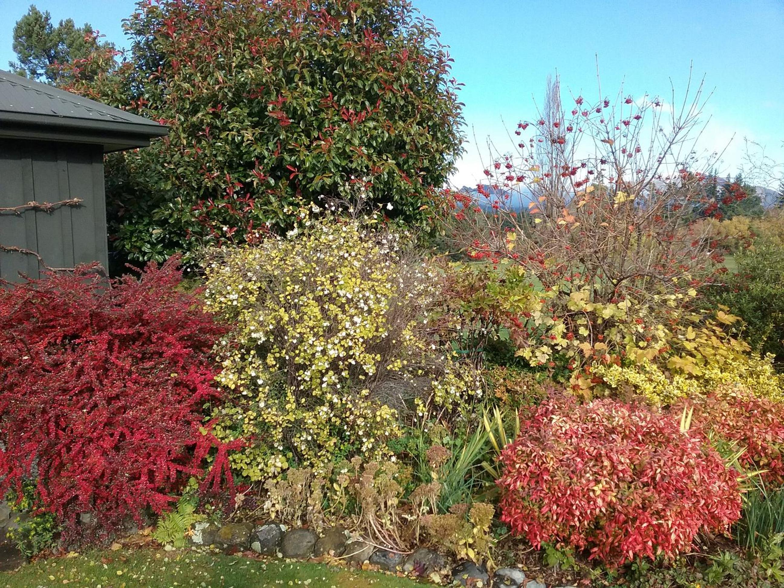 Marchmont Gardens
