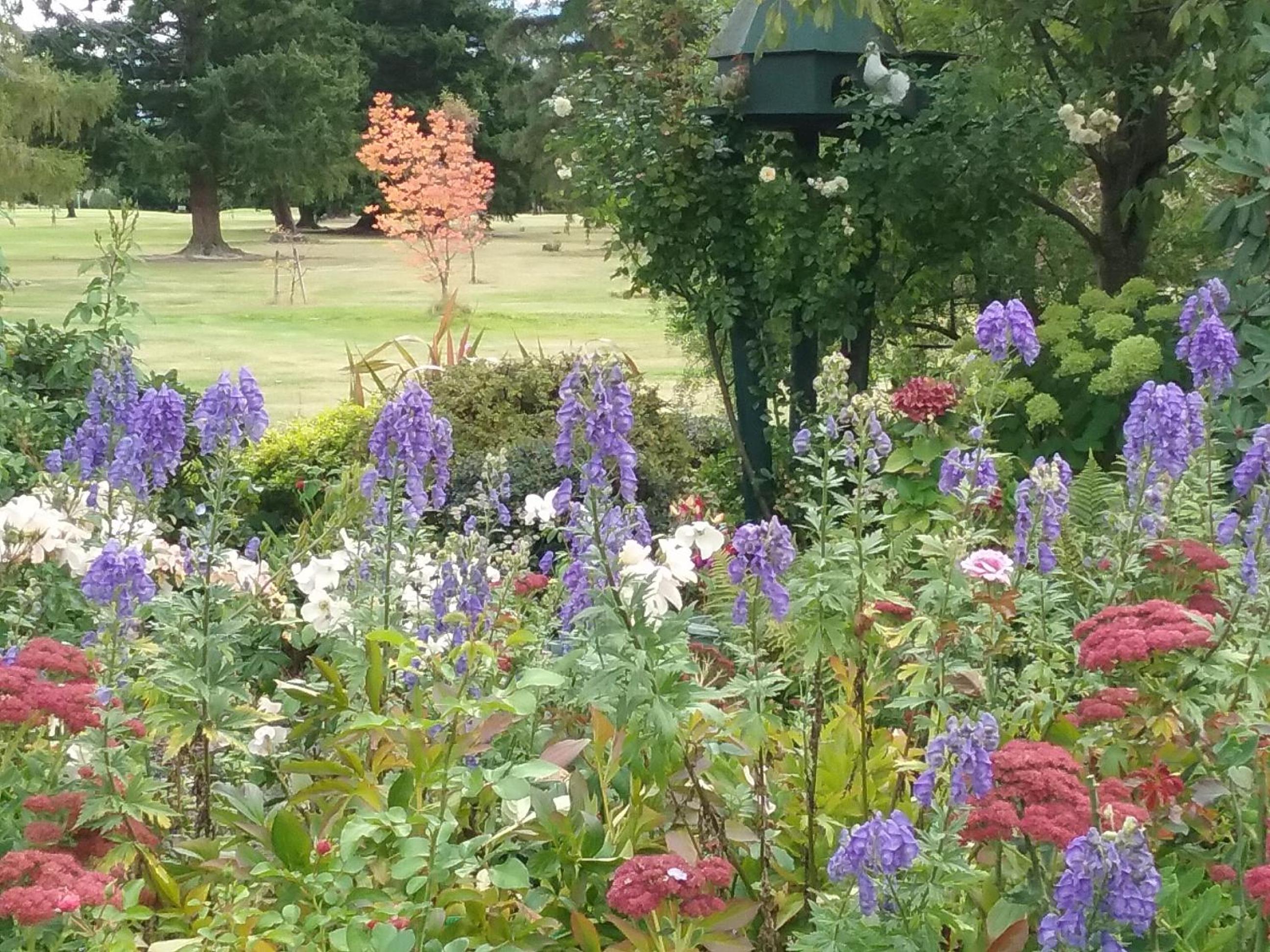 Marchmont Gardens