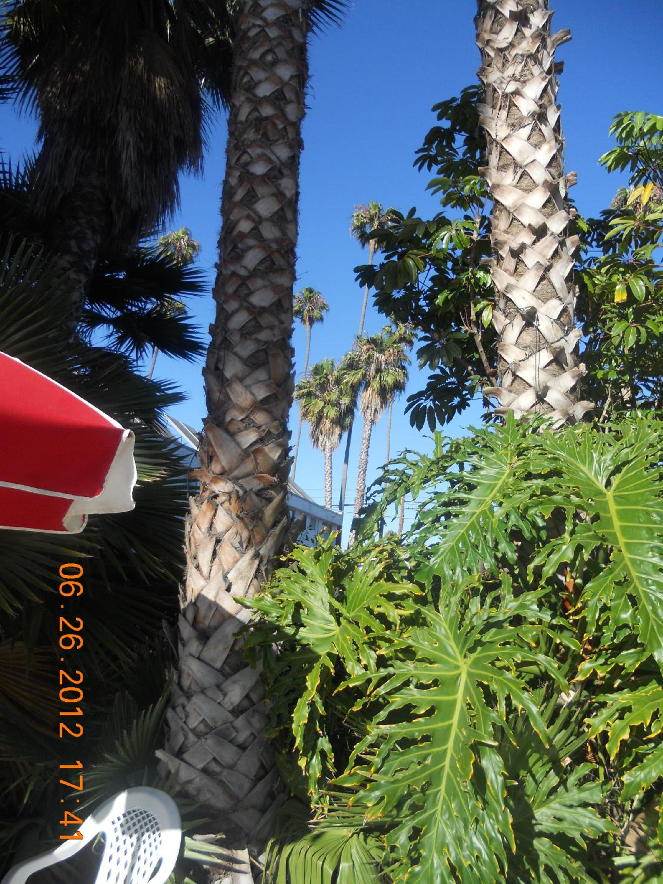 Tradewinds Airport Hotel 5