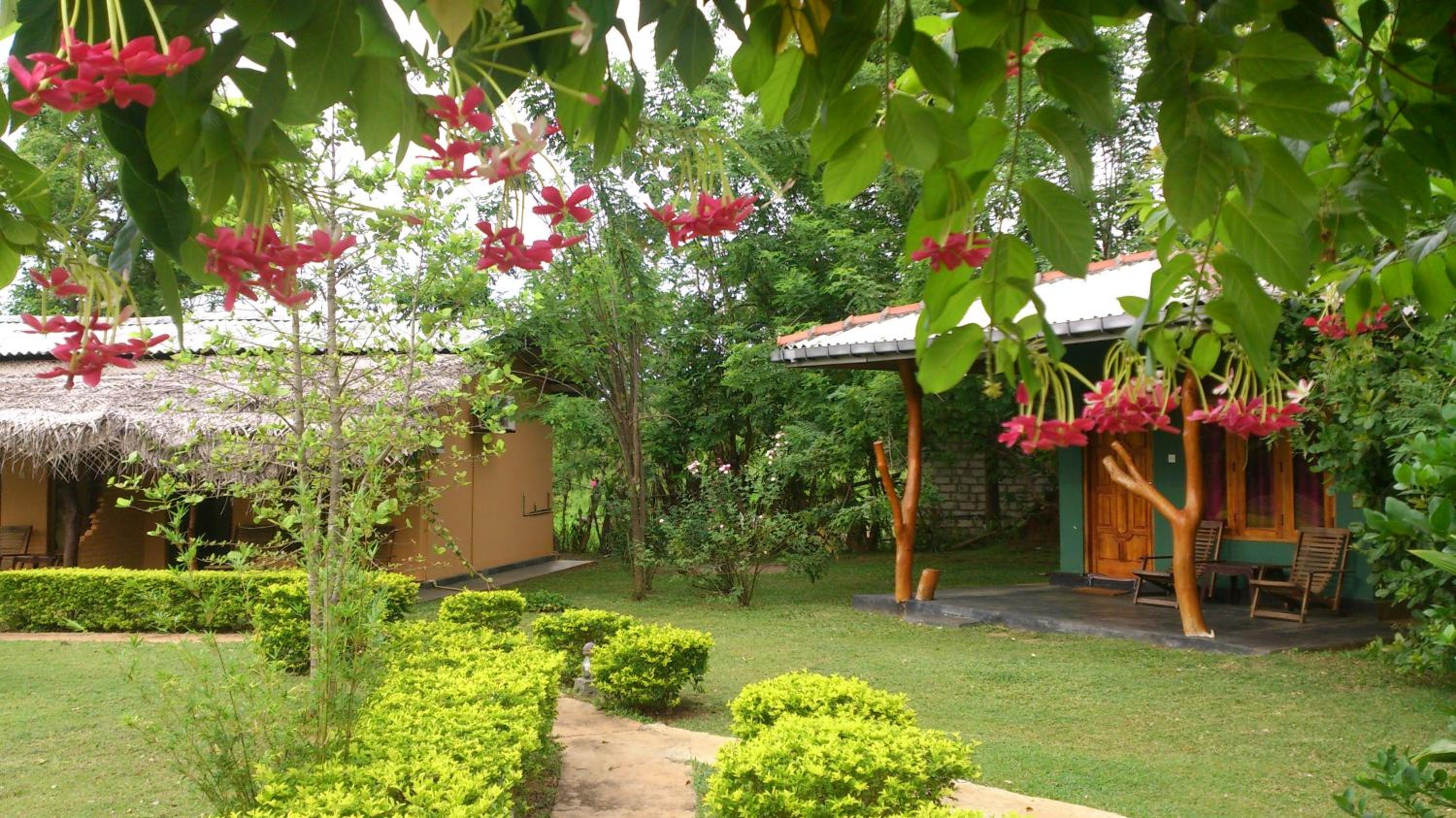 Liyon Rest sigiriya