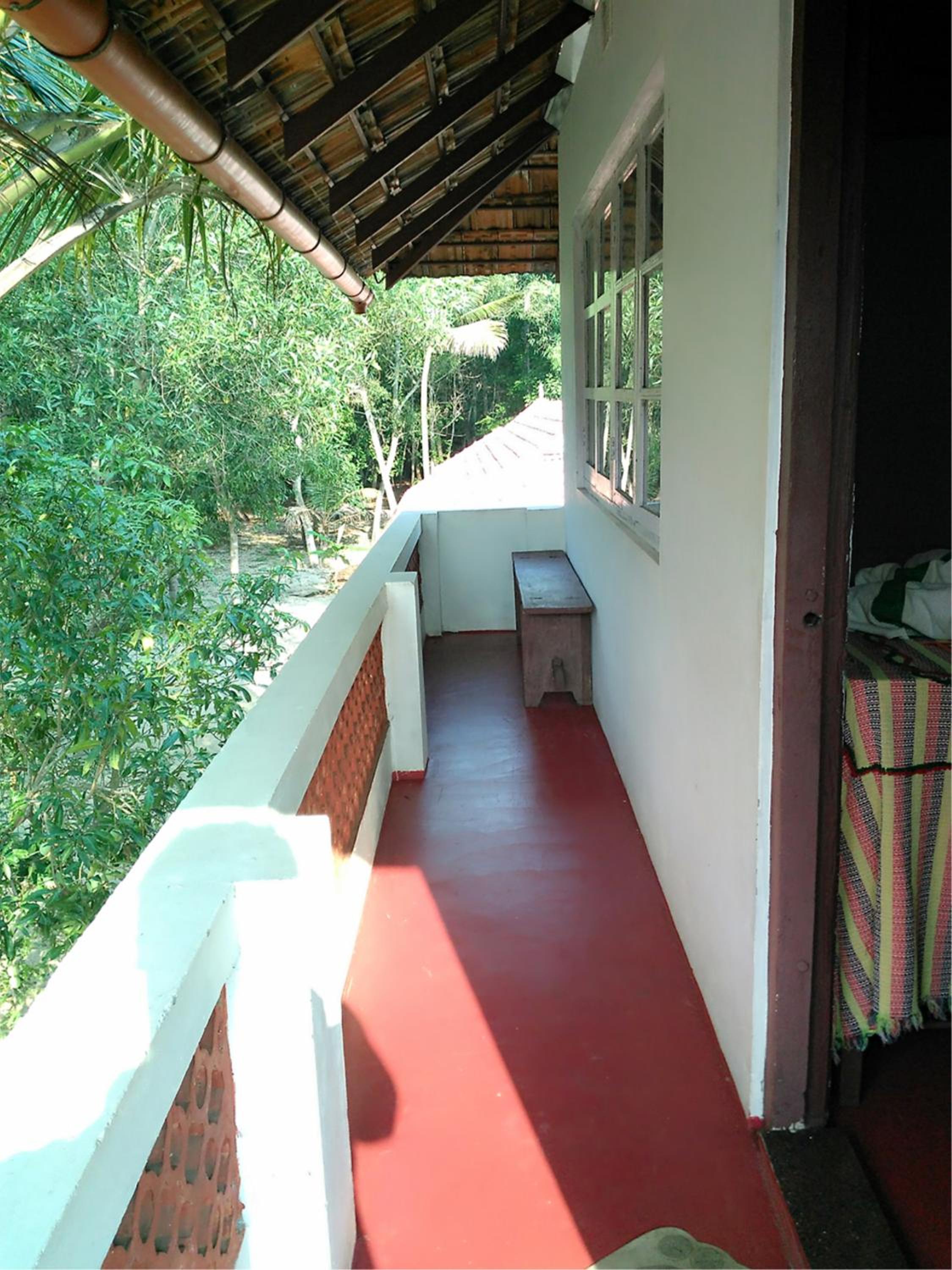 Photo 38