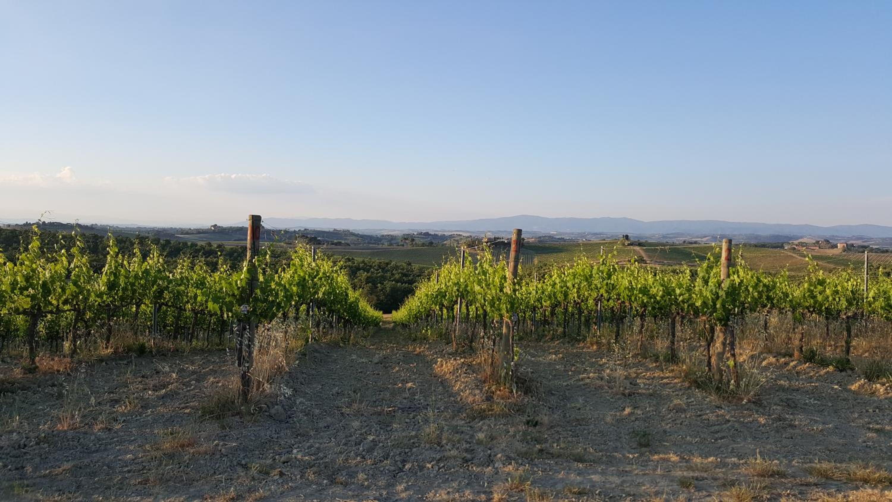 Agriturismo Podere Casa al Vento