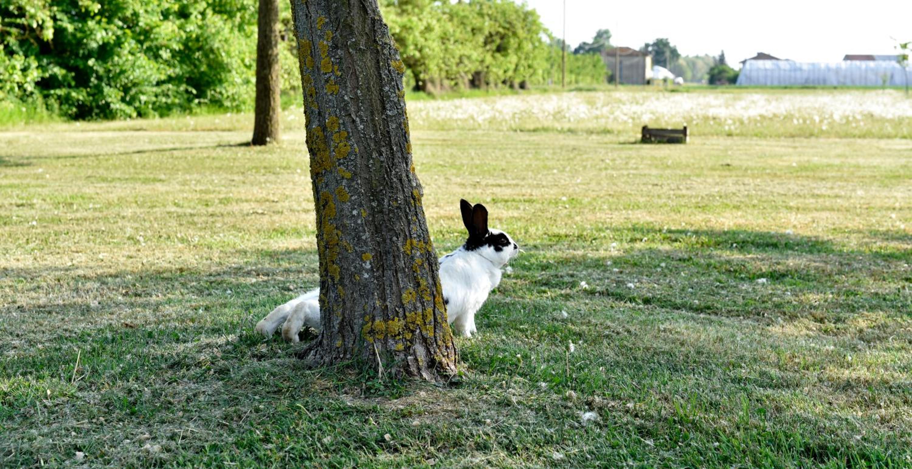 Photo 47