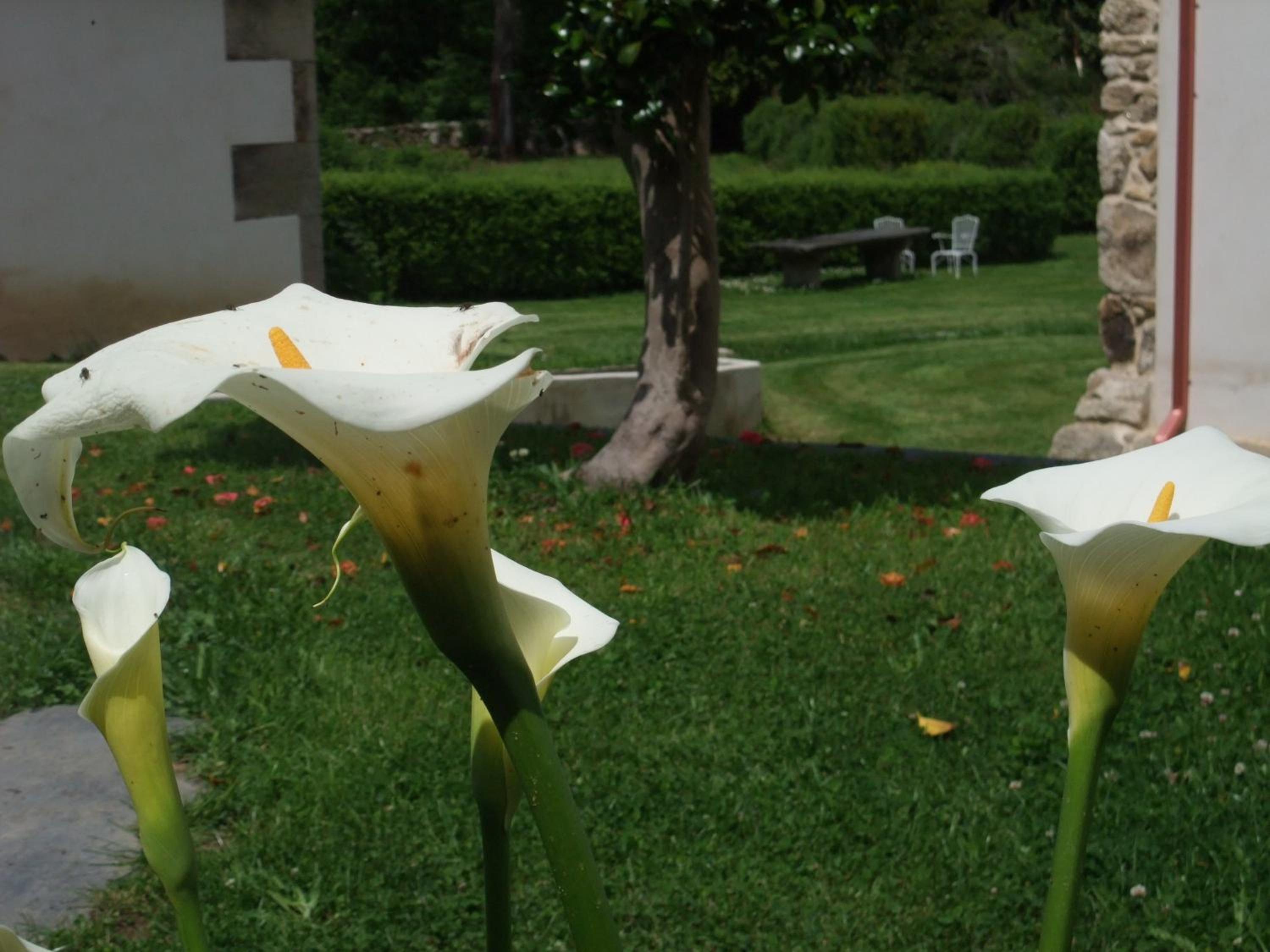 Photo 26