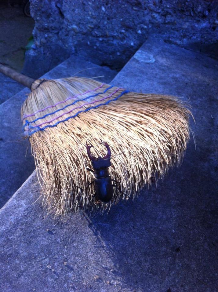 Photo 37