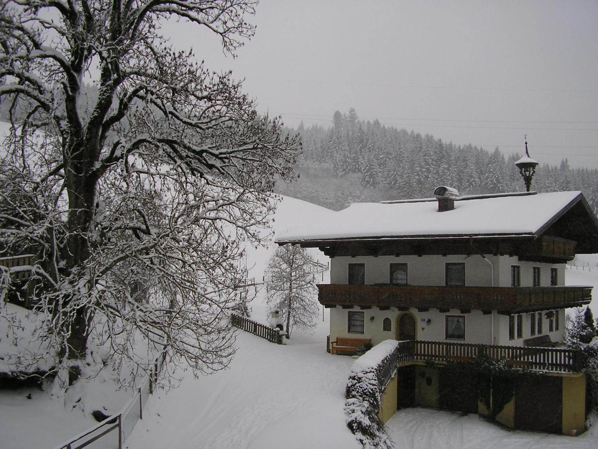 Steinerbauer