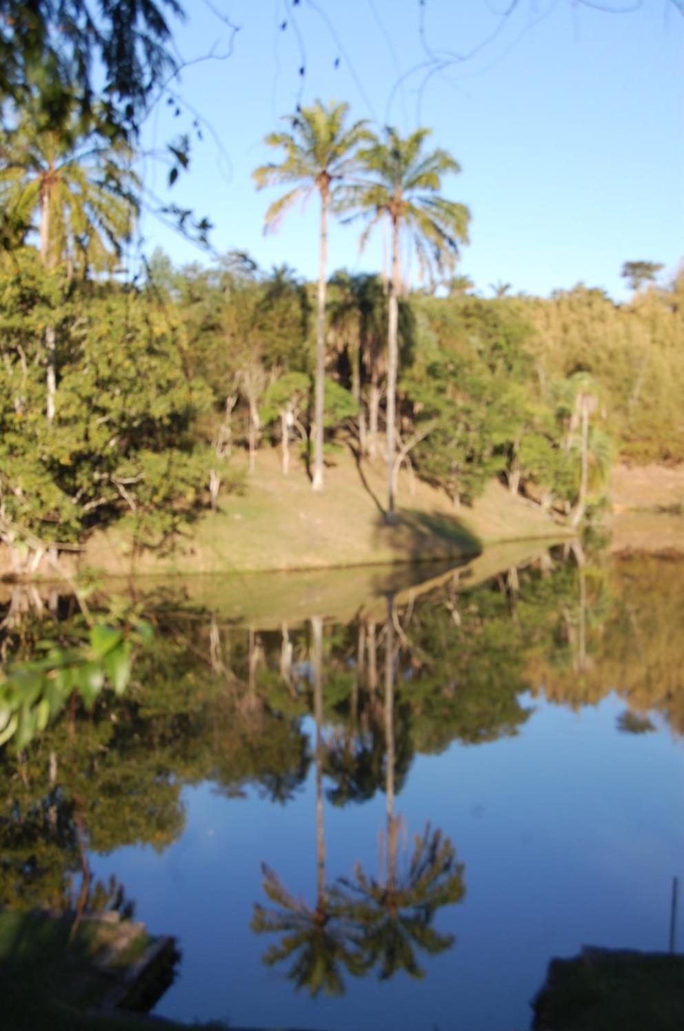 Fazenda Cachoeira Grande