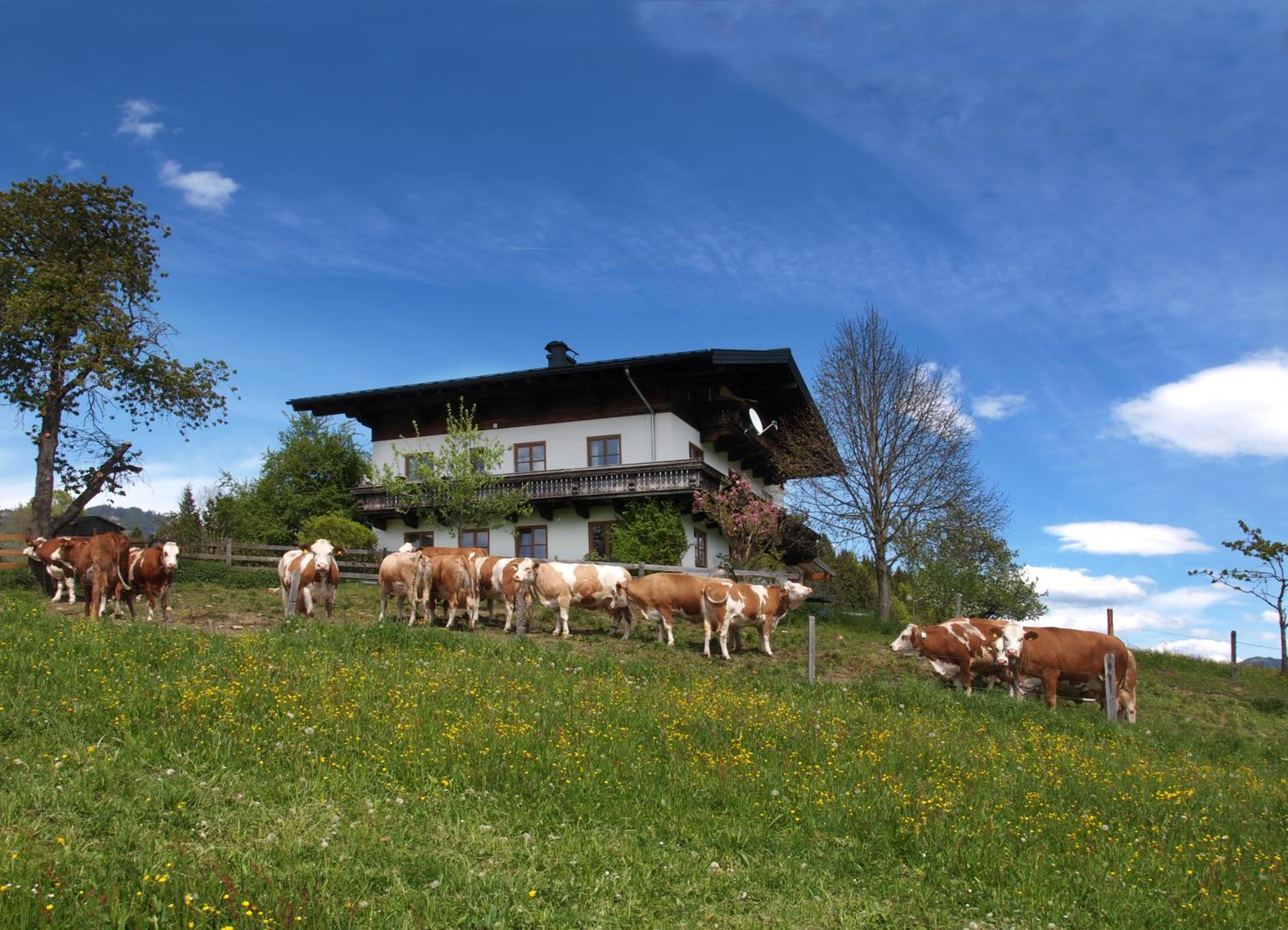 Unterhofgut