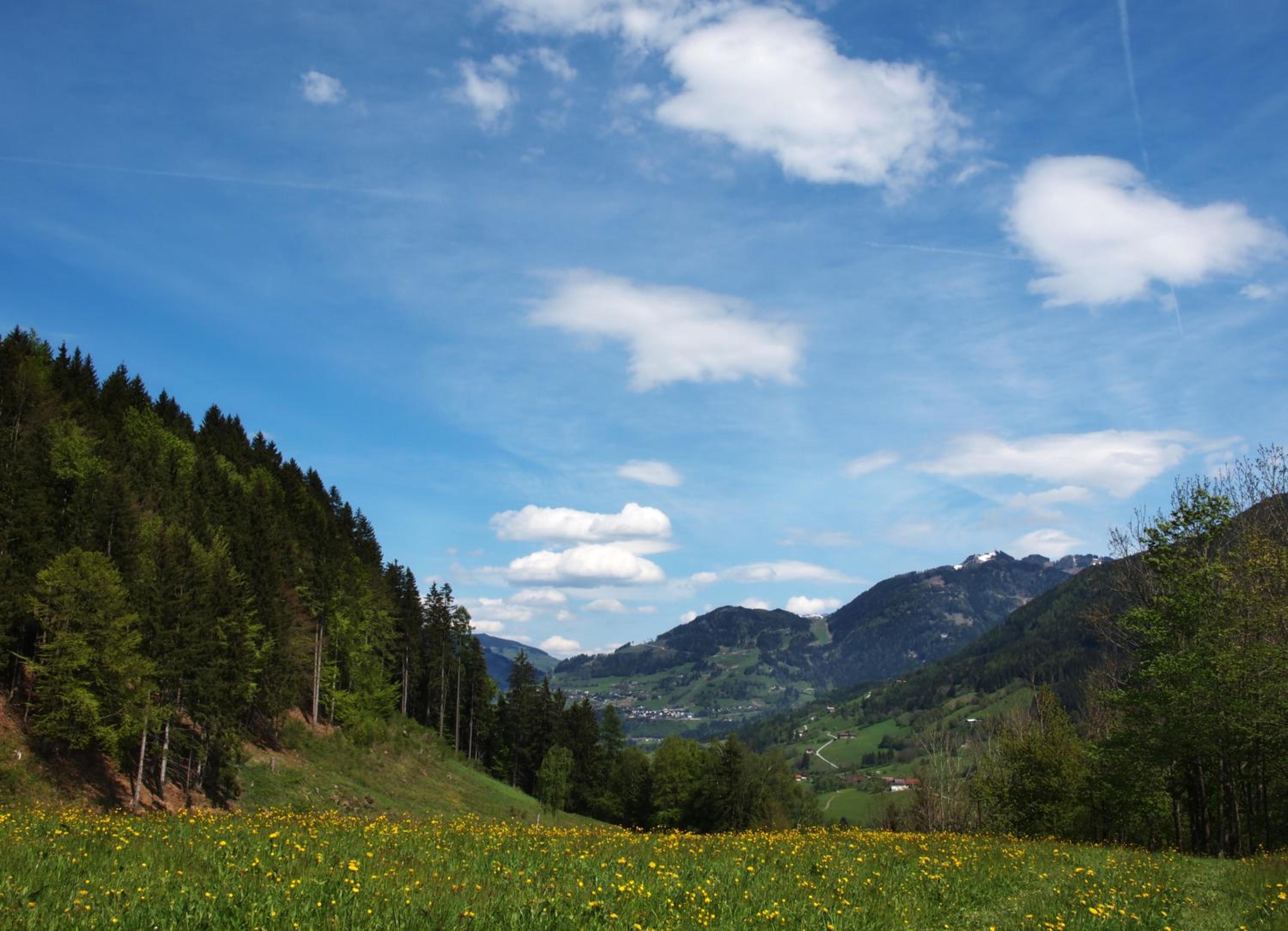 Unterhofgut