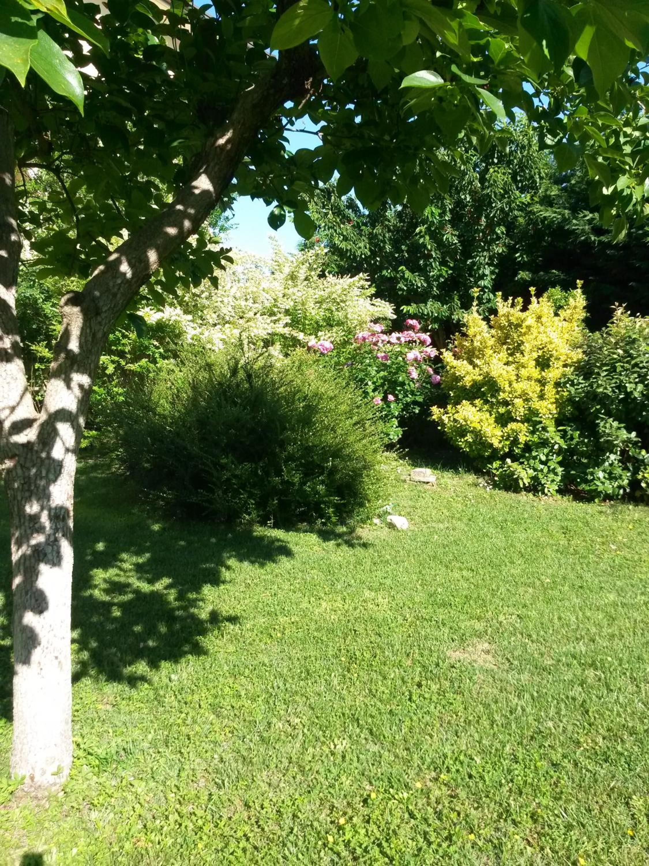 CasaVittorio