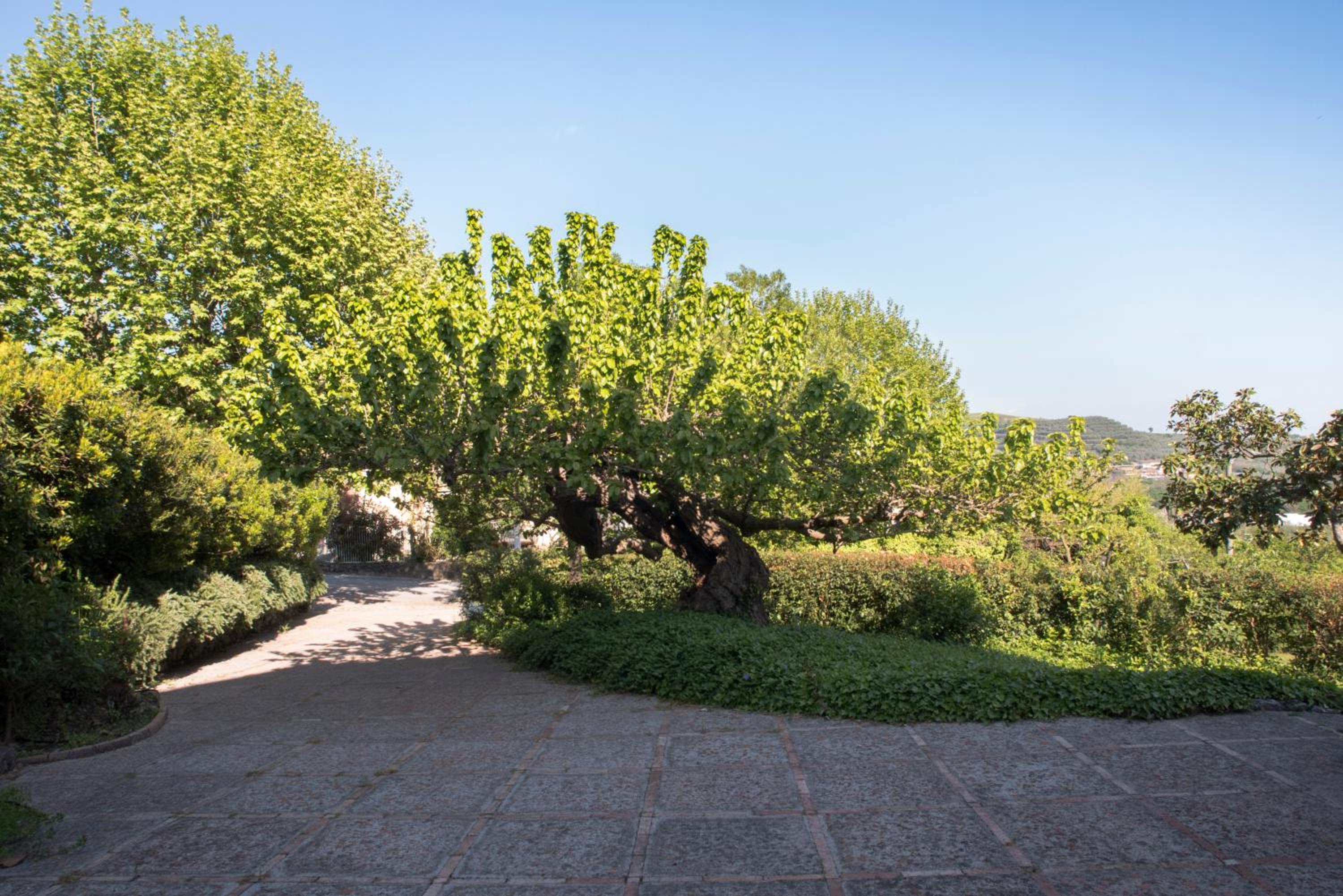 Agriturismo La Vecchia Quercia