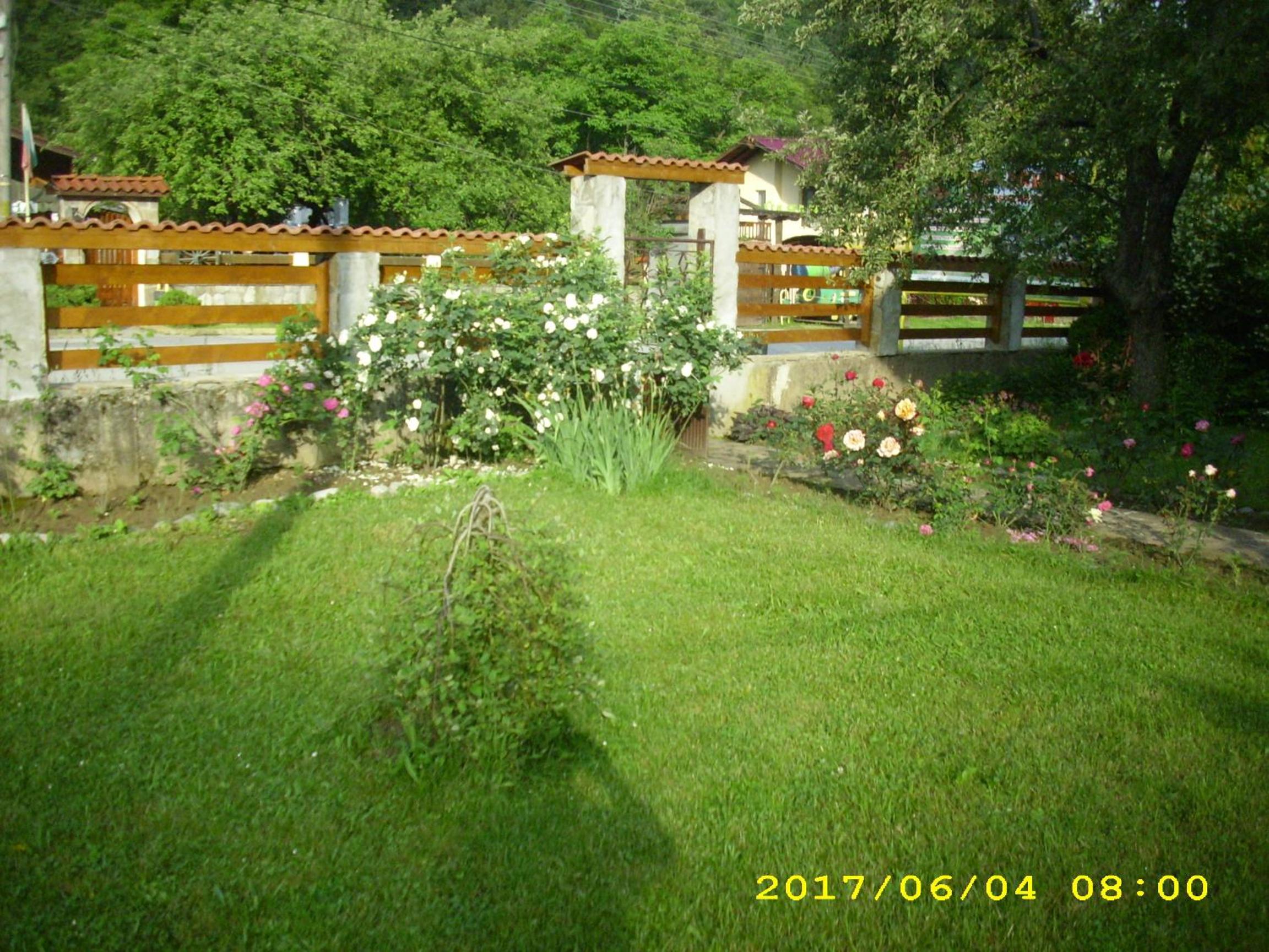 Villa Ribarica
