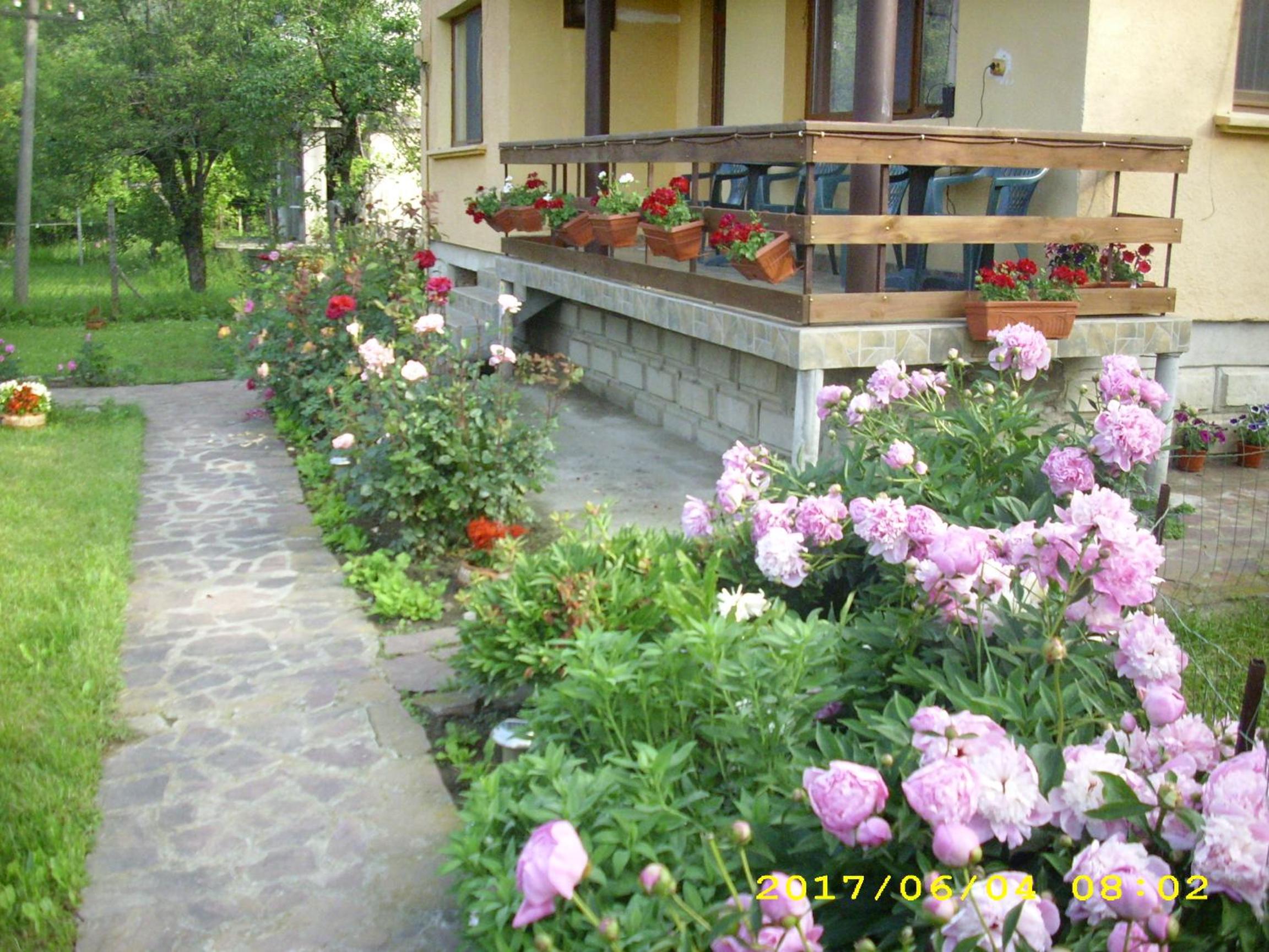 Villa Ribarica