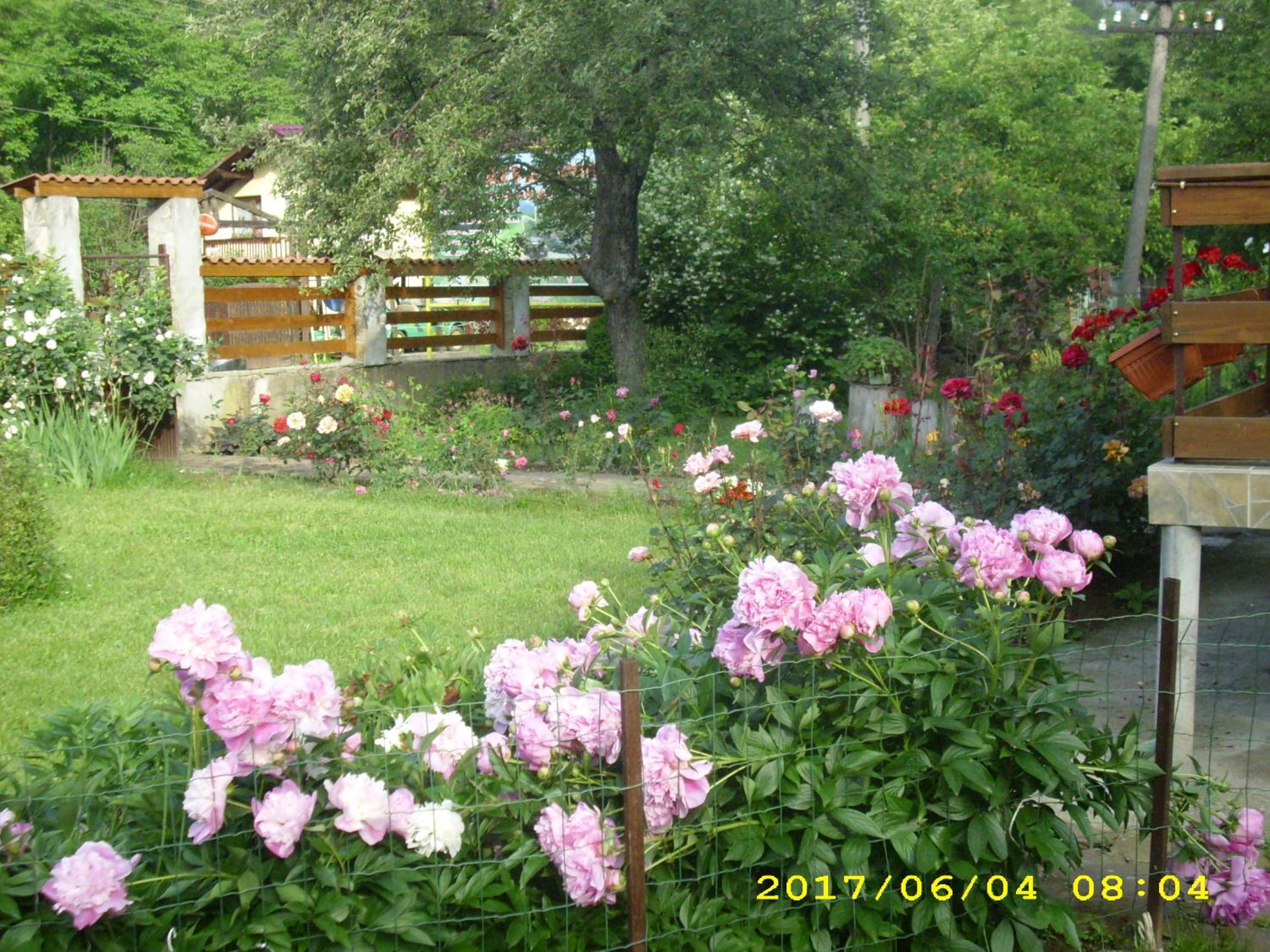 Villa Ribarica