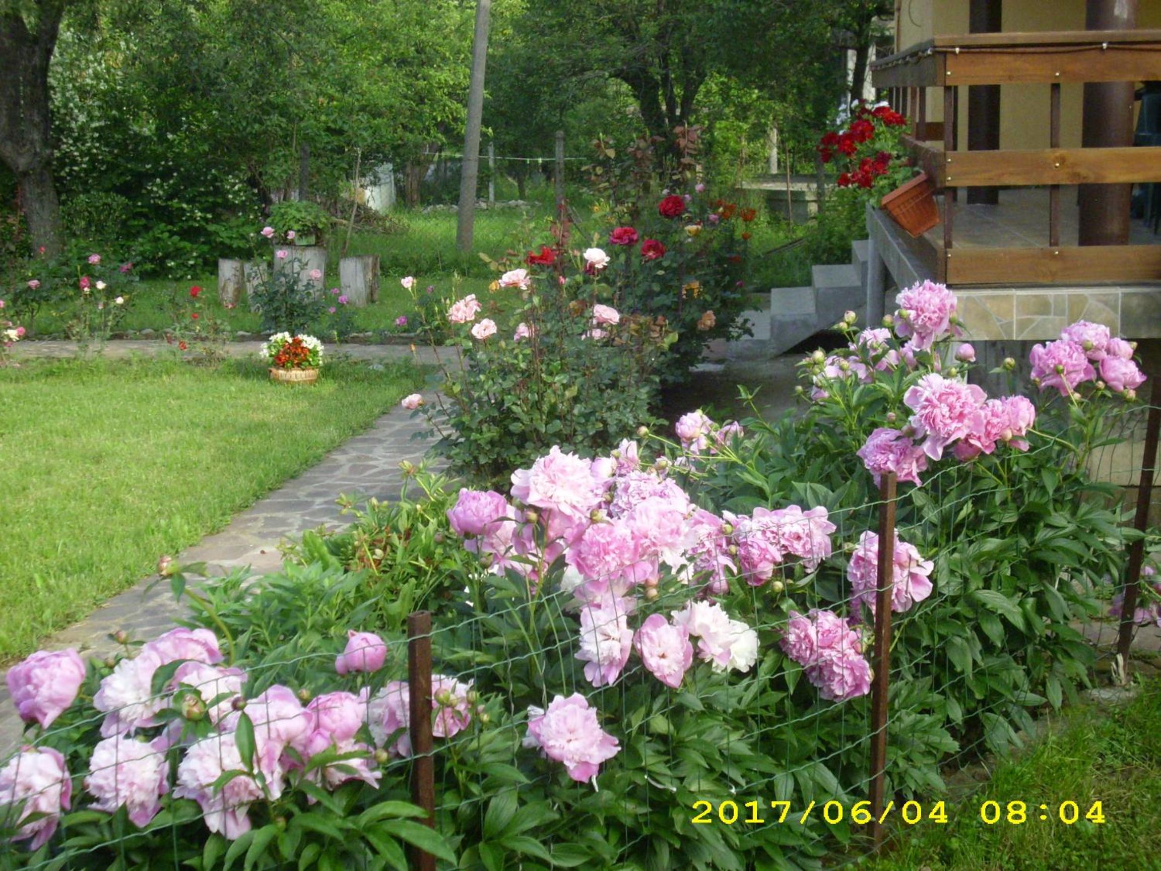Villa Ribarica