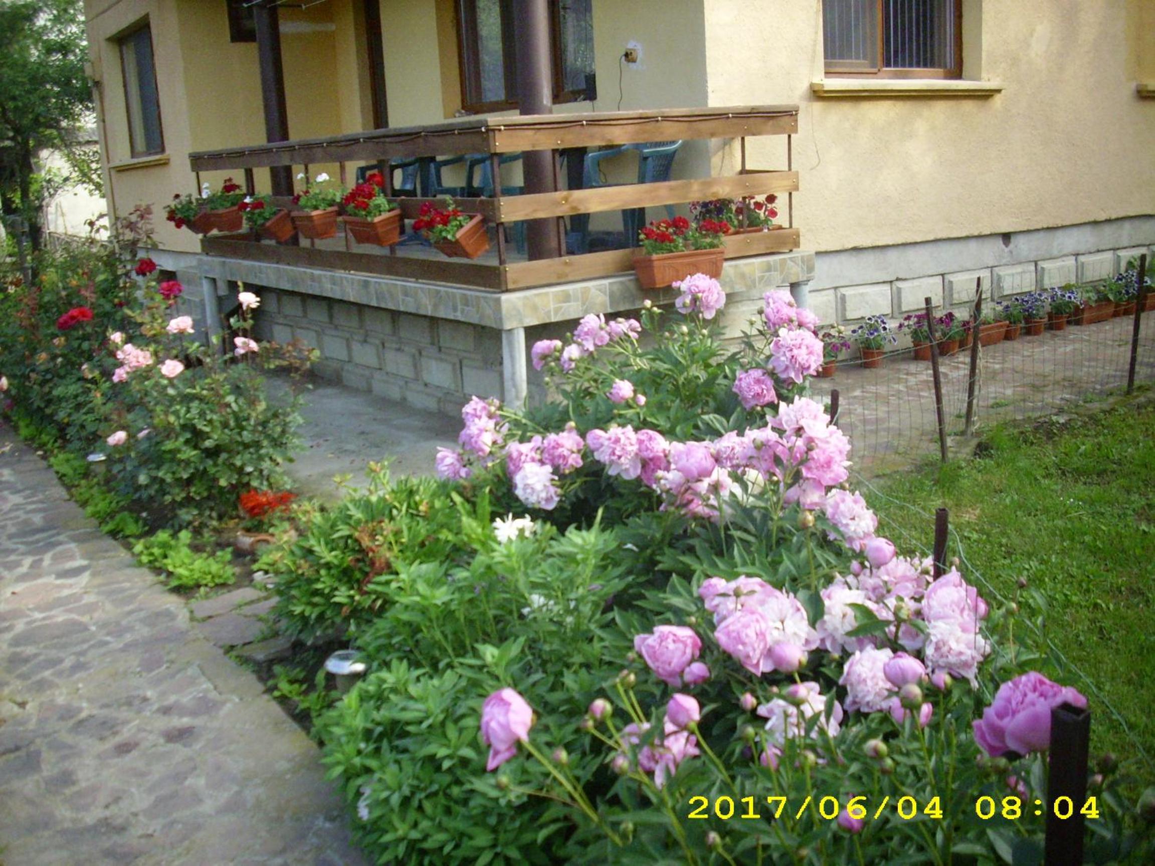 Villa Ribarica
