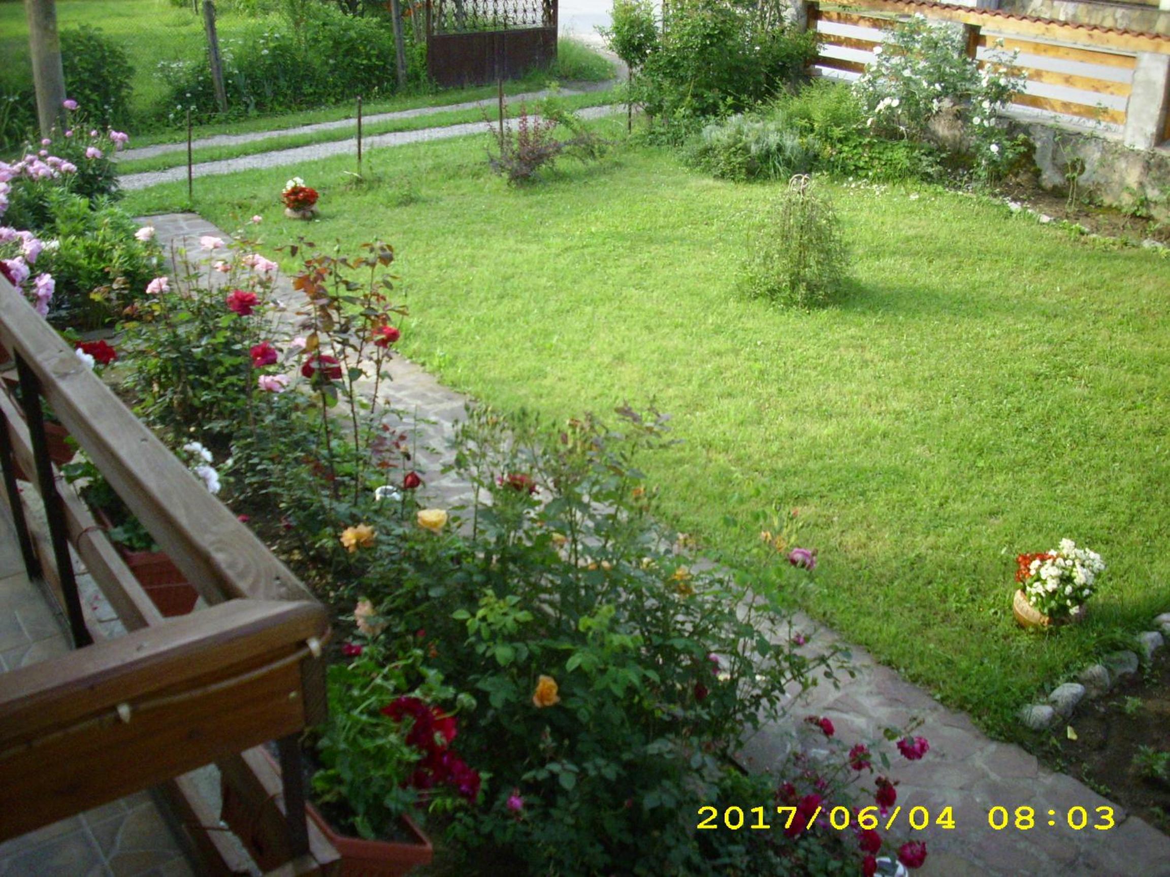 Villa Ribarica