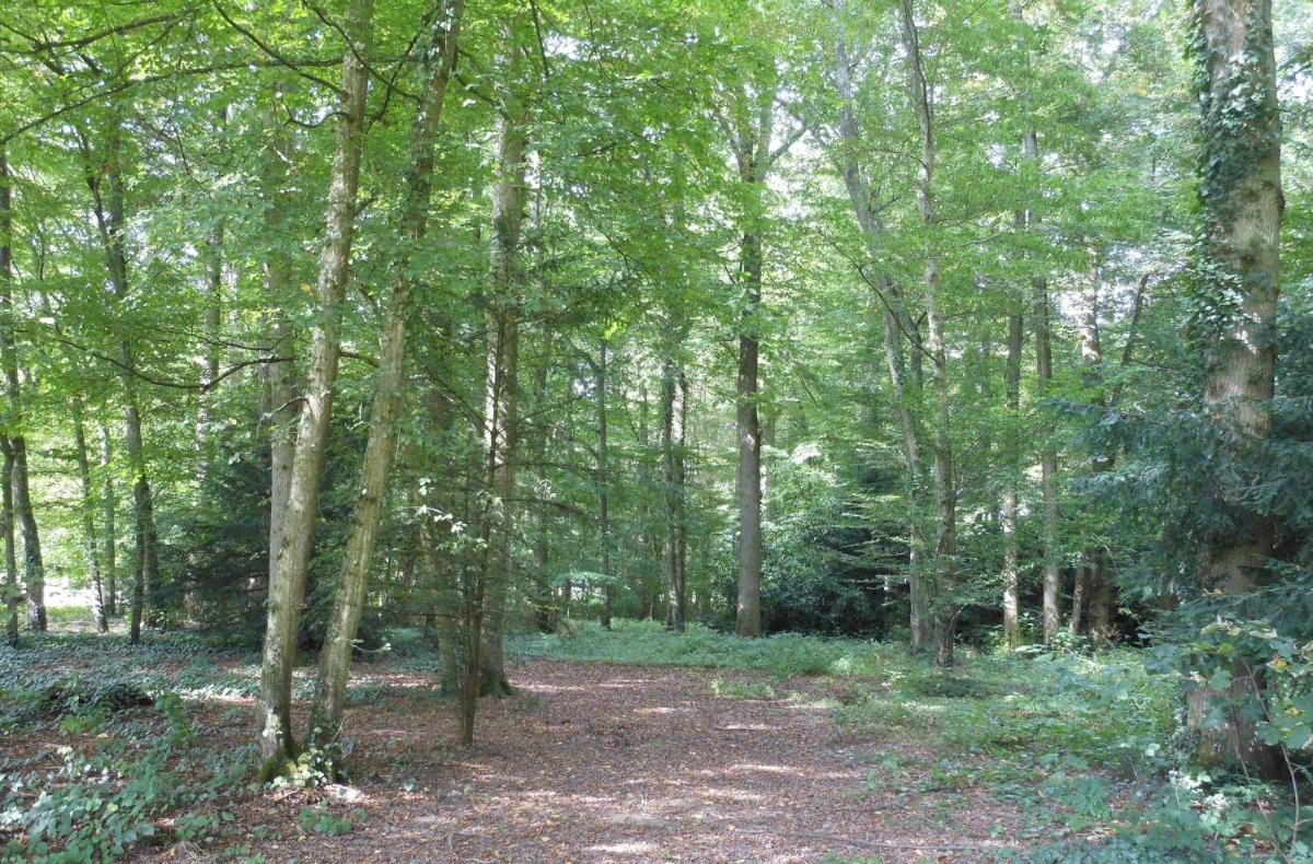 Photo 10