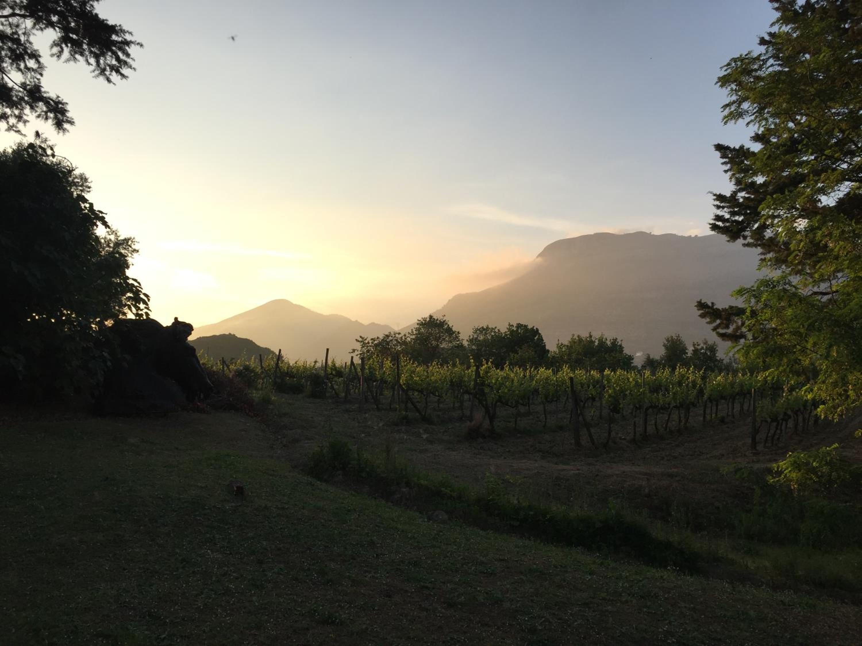 Agriturismo La Vecchia Quercia