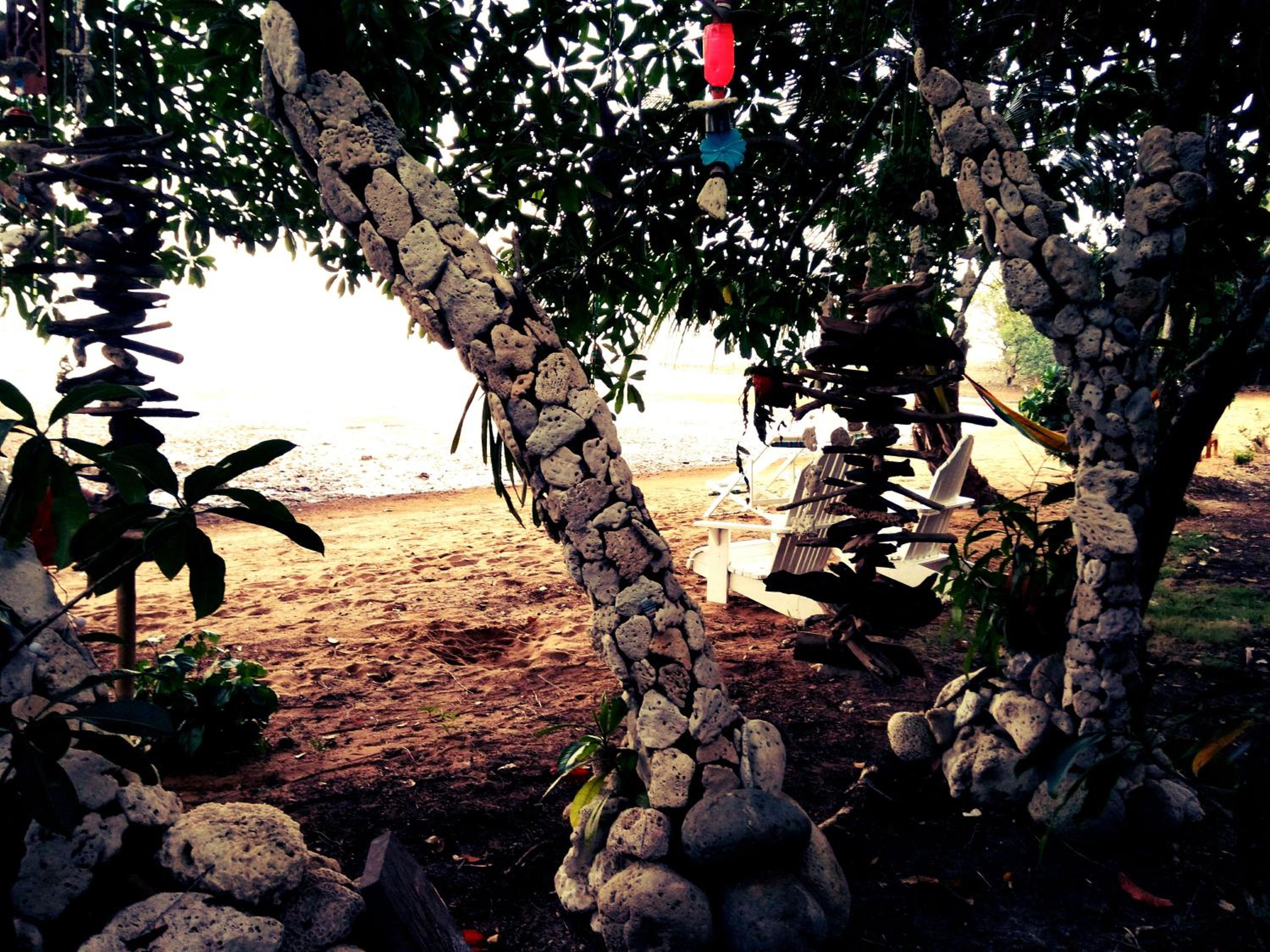 Photo 40
