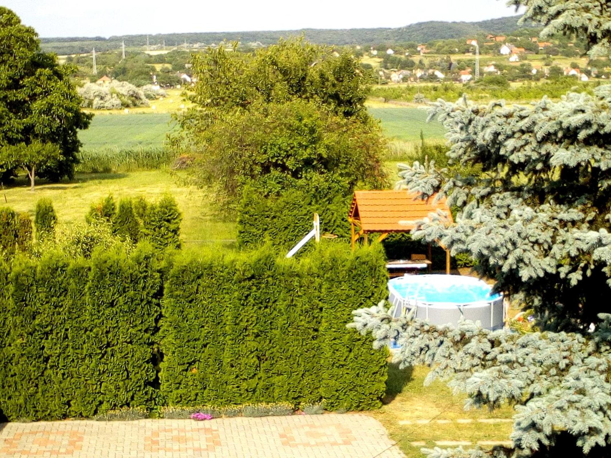 Photo 31