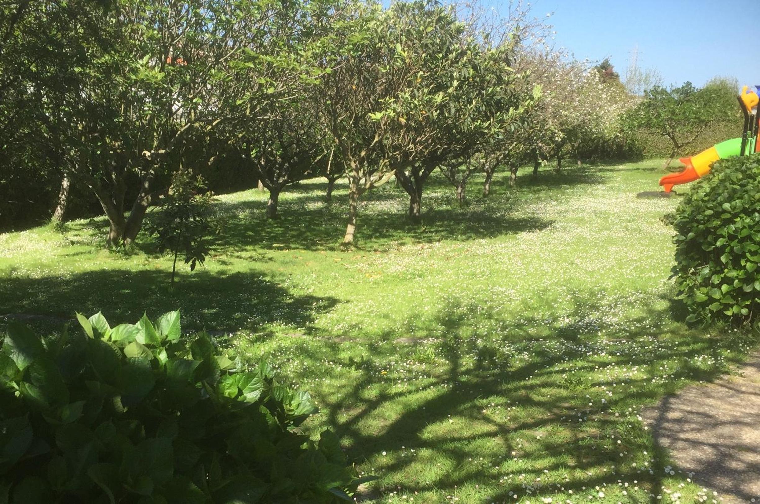 Photo 42