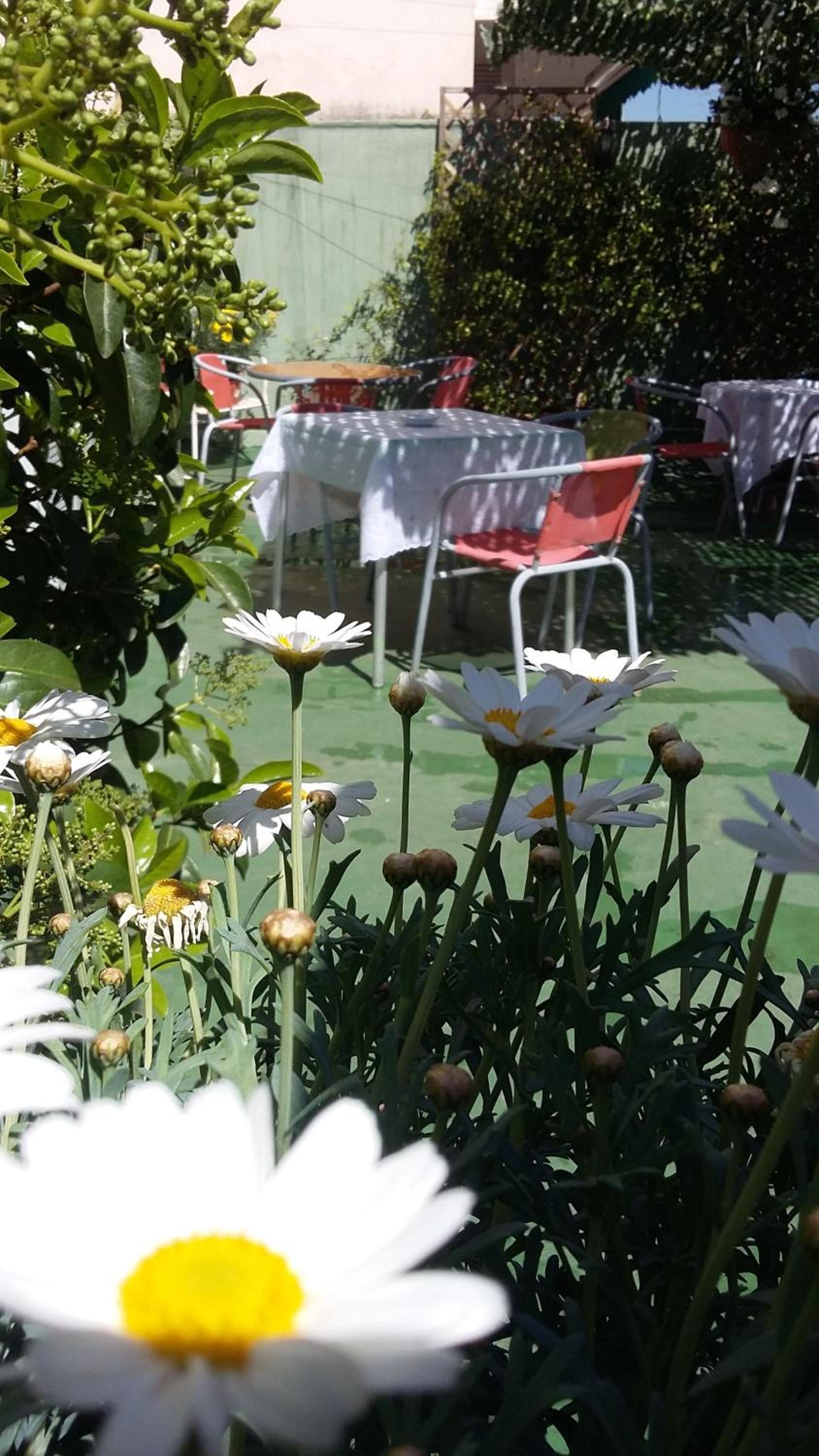 Photo 41
