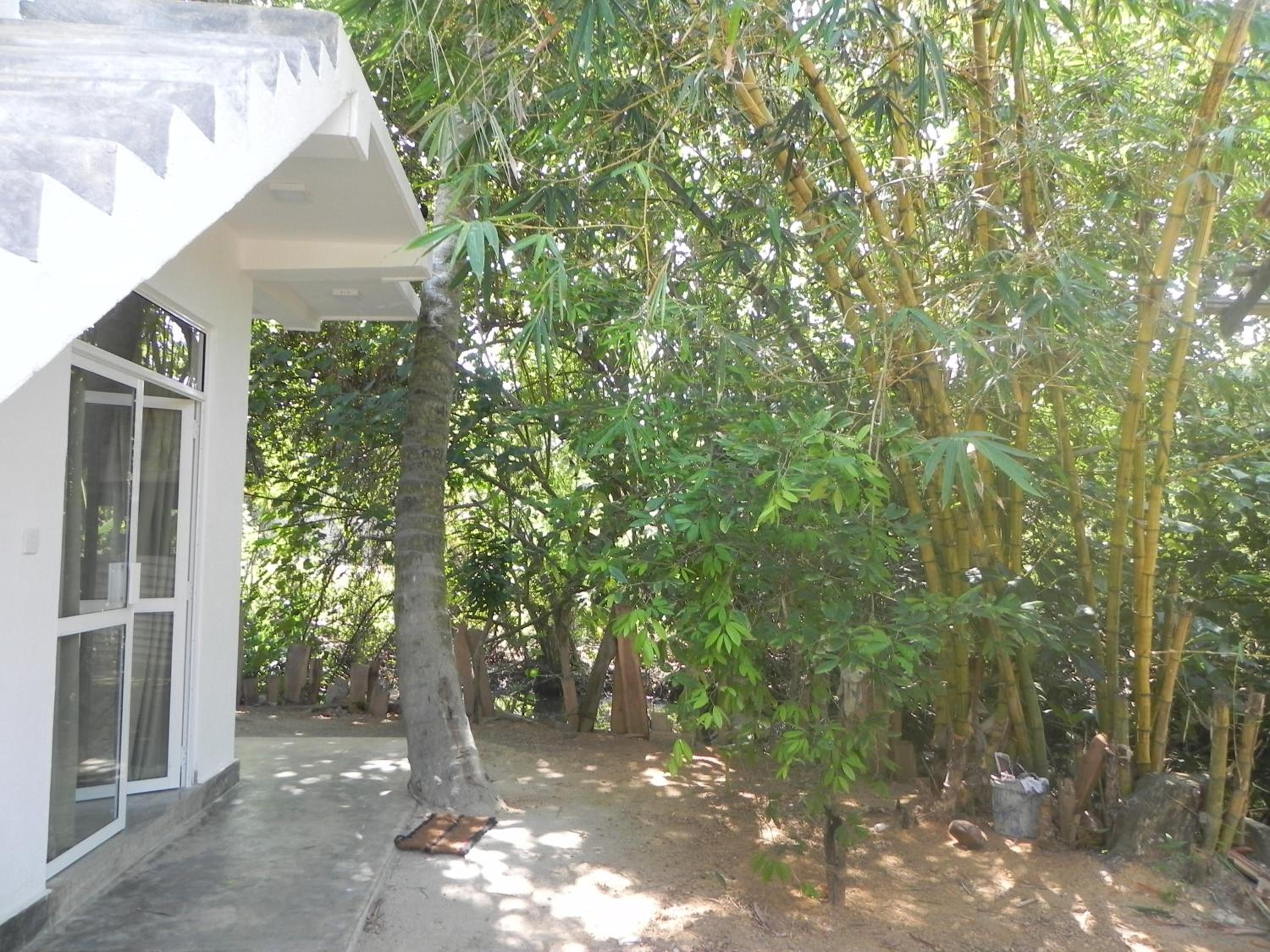 Photo 28