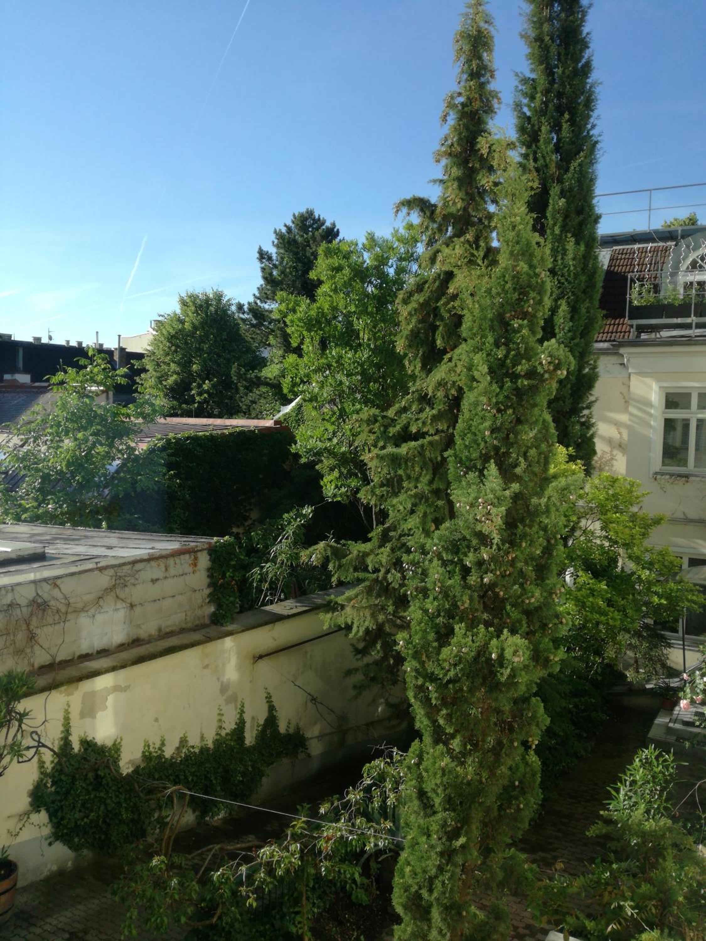 Apartment Penzing