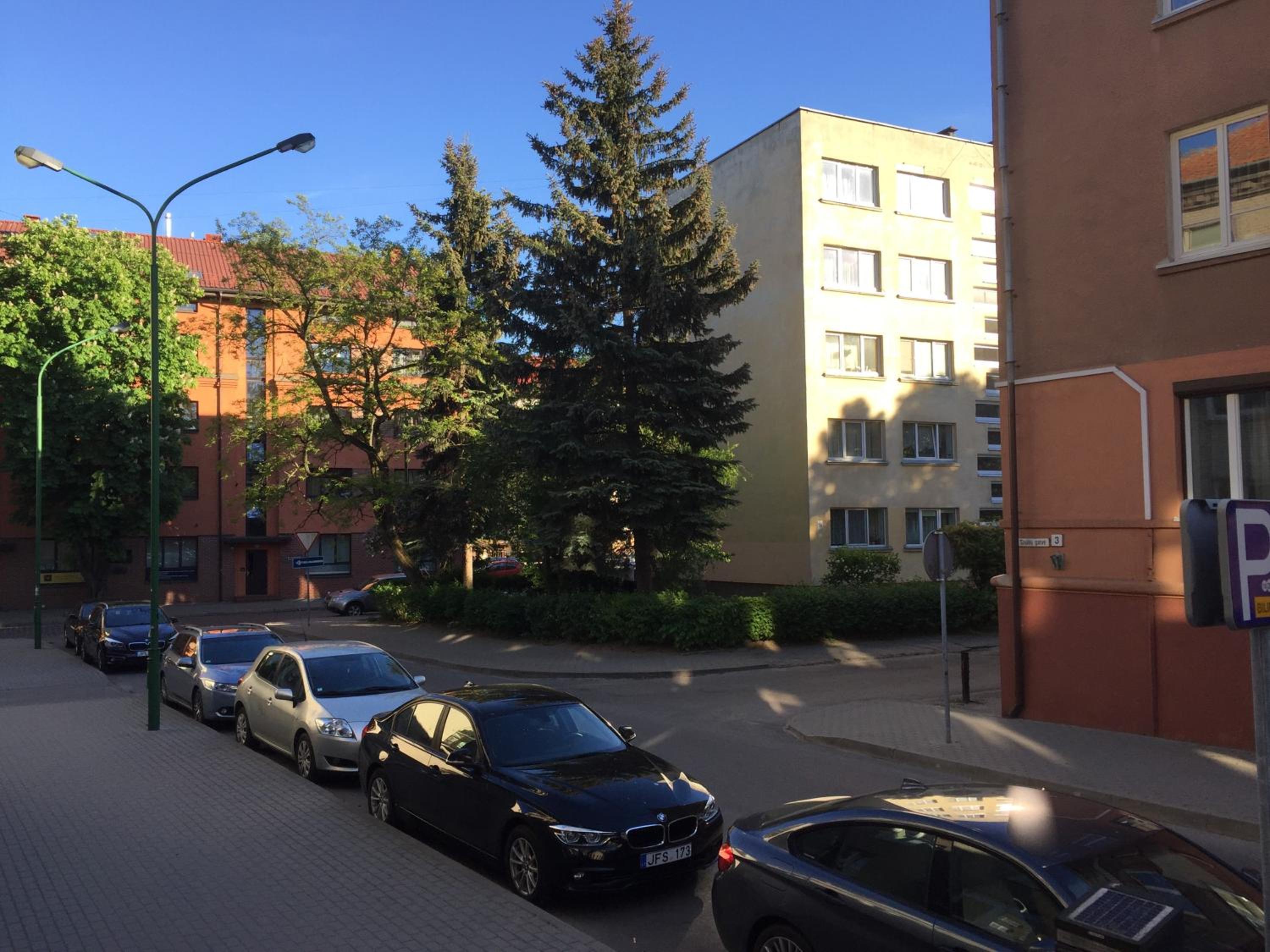 Photo 26