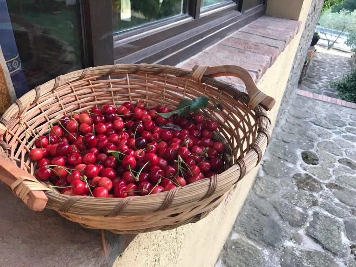 Podere le Muricce