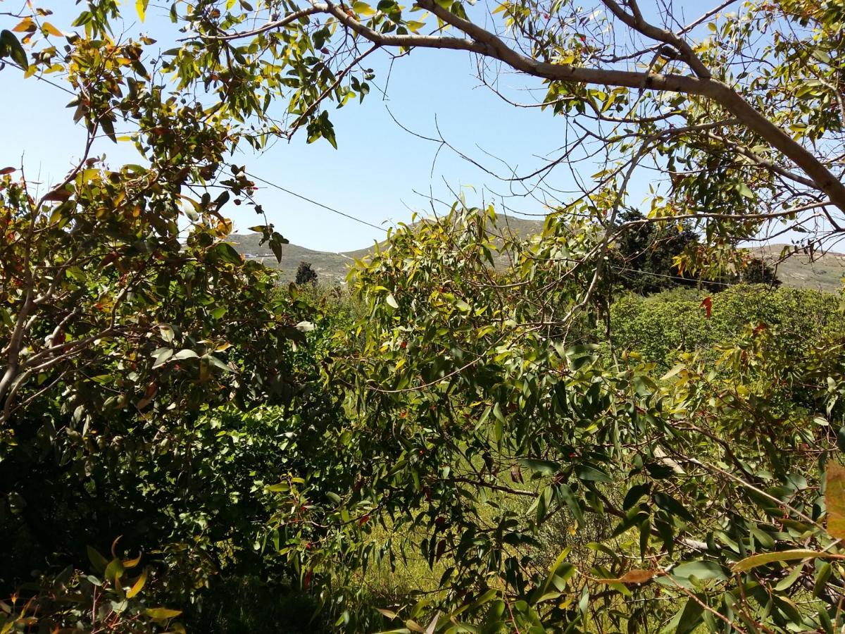 Photo 41