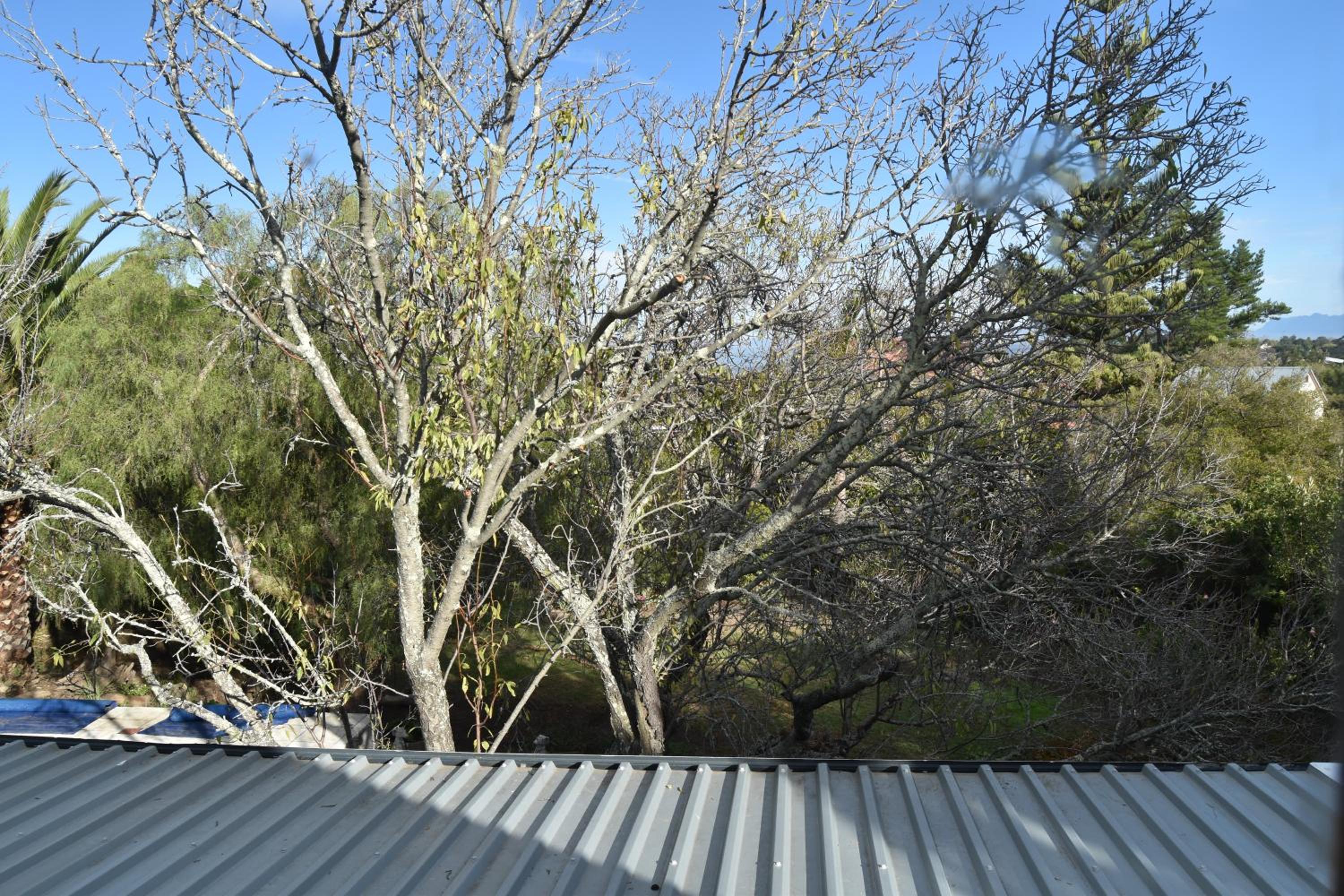 Almond Cottage Bed & Breakfast