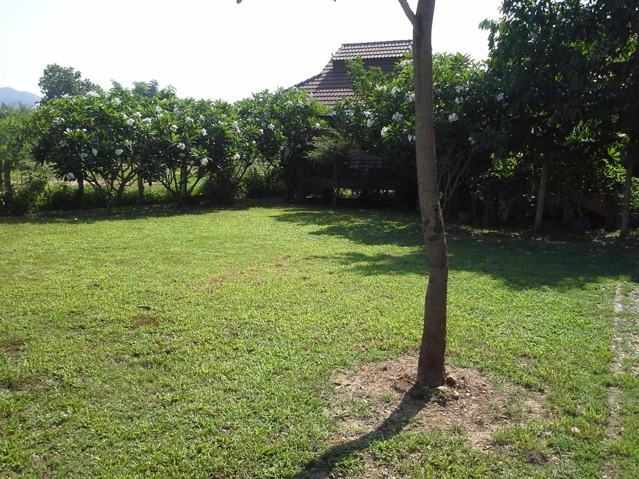 Jamjuree Garden
