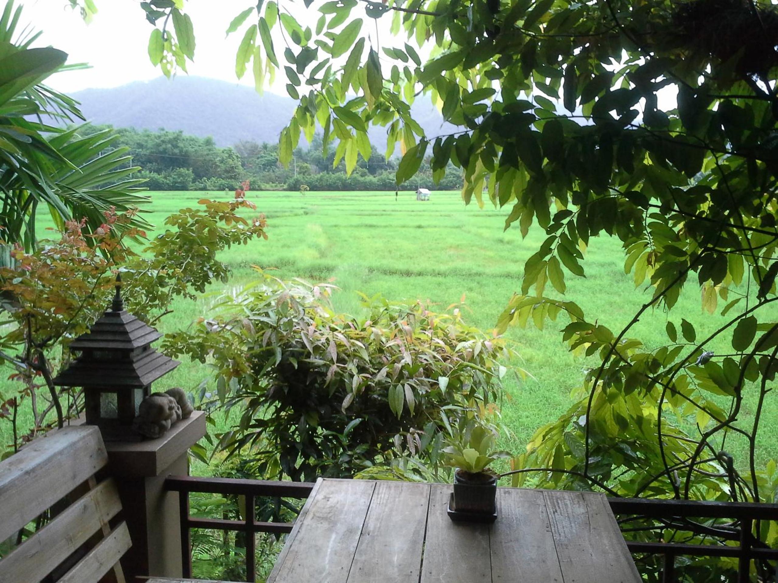 Jamjuree Garden