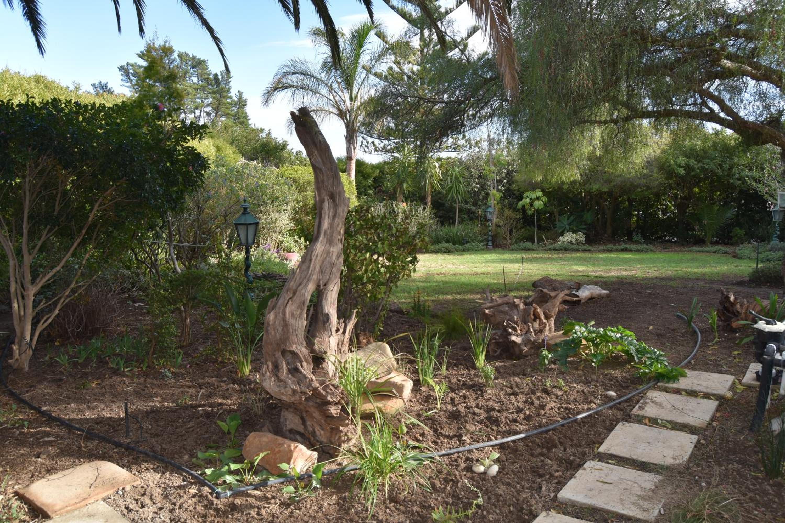 Almond Cottage Bed & Breakfast